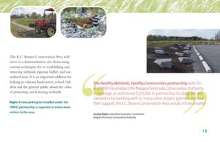 The E.C. Brown Conservation Area will
serve as a demonstration site showcasing
various techniques for re-establishing and
restoring wetlands, riparian buffers and nat-
uralized areas. It is an important addition for
helping to educate landowners, school chil-
dren and the general public about the value
of protecting and restoring wetlands.
Right: A new parking lot installed under the
HWHC partnership is expected to entice more
visitors to the area.
13
The Healthy Wetlands, Healthy Communities partnership with DU
and MNR has enabled the Niagara Peninsula Conservation Authority
to leverage an additional $255,000 in partnership funding. We are
pleased to be working with so many other project partners; without
their support, the E.C. Brown Conservation Area would not be a reality.
Jocelyn Baker, watershed restoration coordinator,
Niagara Peninsula Conservation Authority
 