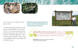 species of insects (two significant) and 47
species of fish.
A newly established trail network was made
possible through HWHC.These trails pro-
vide area access while protecting numerous
significant and sensitive species of flora and
fauna.The Herb KebbelWetland is another
excellent example of positive results coming
from the MNR and DUC partnership,under
the HWHC banner.
15
Right: New signage has been installed at the
entrance to the Herb Kebbel Wetland in the
Yarmouth Natural Heritage Area.
Seeing MNR and DU working together to improve the Herb Kebbel
Wetland is a testament to the importance of partnerships when it
comes to furthering wetland conservation in Ontario.
Ric Wellwood, fundraising/communications coordinator,
Catfish Creek Conservation Authority
 
