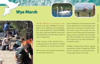 The Wye Marsh is an ecological gem,
located on the edge of Midland in Canada’s
historic resort destination on Georgian Bay.
The marsh, designated as a NationalWildlife
Area and an Important Bird Area, forms part
of the flood plain of theWye River before it
enters Georgian Bay.
Public visitation to Wye Marsh has been
steadily growing over the past few years.With
the combination of increased usage and the
lack of maintenance and development fund-
ing,the infrastructure was deteriorating to the
point where it had become nonfunctional
and a safety concern.The number one com-
plaint was lack of directional and interpretive
signage and the ramshackle look of existing
signs.The boardwalk was in such poor shape
that if repairs were not made immediately,
it would be closed.
Funding was desperately needed to upgrade
interpretative facilities.Through the HWHC
initiative, funding was secured and the fol-
lowing improvements were made:
Wye Marsh
Left: Volunteers lend a helping hand building
the boardwalk at Wye Marsh.
left:DeniseBropheyabove:RobbertHutswans:AndrewMcLachlanright:LaurieSchutt
 