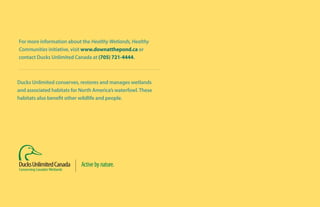 For more information about the Healthy Wetlands, Healthy
Communities initiative, visit www.downatthepond.ca or
contact Ducks Unlimited Canada at (705) 721-4444.
Ducks Unlimited conserves, restores and manages wetlands
and associated habitats for North America’s waterfowl.These
habitats also benefit other wildlife and people.
 