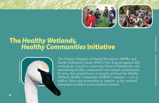 2
The Ontario Ministry of Natural Resources (MNR) and
Ducks Unlimited Canada (DUC) have long recognized that
wetlands are crucial to conserving Ontario’s biodiversity and
maintaining healthy communities and natural environments.
In 2004, they joined forces to launch and fund the Healthy
Wetlands, Healthy Communities (HWHC) initiative – a $1.25
million, three-year partnership to improve 14 key wetland
interpretive facilities across southern Ontario.
The HealthyWetlands,
HealthyCommunities Initiative
above:CataraquiRegionConservationAuthorityaboveleft:BobAdamson
trumpeterswan:AndrewMcLachlan
 