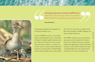 and signage development and upgrades, to
ensuring wheelchair access.
As part of HWHC’s goal to create shared
interest and participation in the conservation
of Ontario’s wetlands,a public education web-
site,“Down at the Pond,” was also created.
This educational website is an interactive
tool for teachers, students and all enthusiasts
interested in learning about wetland habitats
and the animal and plant species that inhabit
them.The site also hosts a message board
that invites postings of wildlife sightings and
other wetland experiences.
The HWHC initiative has received hearten-
ing responses from hundreds of Ontario
teachers and students. It has given Ontario
residents the opportunity to discover first-hand
experience of the natural wonders and values
of wetlands.With the many improvements,
combined with various marketing and
Ecological ignorance breeds indifference:
what we know, we may choose to care for.
What we fail to recognize, we certainly won’t.
Robert Michael Pyle
kayaker:AndrewMcLachlanothers:DUCanada
 