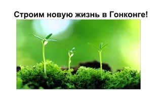 Строим новую жизнь в Гонконге!
 