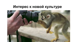 Интерес к новой культуре
 