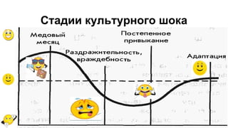 Стадии культурного шока
 