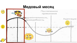 Mедовый месяц
 