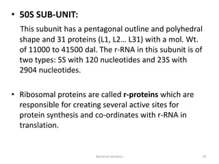 types and structure of prokaryotic RNA | PPTX
