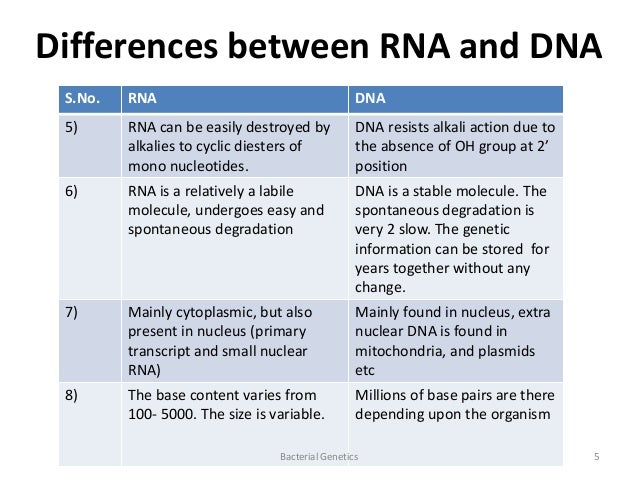 Physical And Chemical Properties Of Nucleic Acids Physical And Chemical Properties Of Nucleic Acids