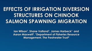 EFFECTS OF IRRIGATION DIVERSION
STRUCTURES ON CHINOOK
SALMON SPAWNING MIGRATION
Ian Wilson1, Shane Vatland1, James Harbeck1 and
Aaron Maxwell2, 1Department of Fisheries Resource
Management, The Freshwater Trust2
 