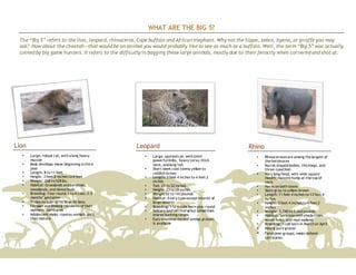 WHAT ARE THE BIG 5?
The “Big 5” refers to the lion, leopard, rhinoceros, Cape buffalo and African elephant. Why not the hippo, zebra, hyena, or giraffe you may
ask? How about the cheetah—that would be an animal you would probably like to see as much as a buffalo. Well, the term “Big 5” was actually
coined by big game hunters. It refers to the difficulty in bagging these large animals, mostly due to their ferocity when cornered and shot at.
Lion
 Large, robust cat, with a long heavy
muzzle
 Male develops mane beginning in third
year
 Length: 8 to 11 feet
 Height: 3 feet 8 inches to 4 feet
 Weight: 268 to 528 lbs.
 Habitat: Grasslands and savannas,
woodlands, and dense bush
 Breeding: Year round; 1 to 4 cubs; 3.5
months’ gestation
 Prides include up to 30 or 40 lions
 Females are lifelong residents of their
mothers’ territories
 Adolescent males roamas nomads until
they mature
Leopard
 Large, spotted cat, with short
powerful limbs, heavy torso, thick
neck, and long tail
 Short sleek coat tawny yellow to
reddish brown
 Length: 3 feet 4 inches to 4 feet 2
inches
 Tail: 27 to 32 inches
 Height: 23 to 28 inches
 Weight 62 to 143 pounds
 Habitat: Everytype exceptinterior of
large deserts
 Breeding: 1 to 4 cubs born year round
 Solitary and territorialbut sometimes
shares huntingranges
 Eats whatever formof animal protein
is available
Rhino
 Rhinocerosesare among the largest of
the herbivores
 Barrel-shaped bodies, thicklegs, and
three-toed feet
 Very long head, with wide square
mouth; massive hump at the top of
neck
 Horns on both sexes
 Slate-gray to yellow-brown
 Length: 11 feet 4 inches to 13 feet 4
inches
 Height: 5 feet 4 inches to 6 feet 2
inches
 Weight: 3,740 to 5,060 pounds
 Habitat: Savannaswith shade trees,
water holes, and mud wallows
 Breeding: 1 calf born in March or April
 Nearly pure grazer
 Form peer groups; males defend
territories
 