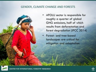 GENDER, CLIMATE CHANGE AND FORESTS
• AFOLU sector is responsible for
roughly a quarter of global
GHG emissions, half of wh...