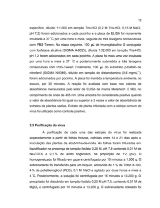 12
específico, diluído 1:1.000 em tampão Tris-HCl (0,2 M Tris-HCl, 0,15 M NaCl,
pH 7,2) foram adicionados a cada pocinho e a placa de ELISA foi novamente
incubada a 37 °
C por uma hora e meia, seguida de três lavagens consecutivas
com PBS-Tween. Na etapa seguinte, 100 µL de imunoglobulina G conjugada
com fosfatase alcalina (SIGMA A-8025), diluída 1:32.000 em tampão Tris-HCl,
pH 7,2 foram adicionados em cada pocinho. A placa foi mais uma vez incubada
por uma hora e meia a 37 °
C e posteriormente submetida a três lavagens
consecutivas com PBS-Tween. Finalmente, 100 µL do substrato p-fosfato de
nitrofenil (SIGMA N-9389), diluído em tampão de dietanolamina (0,6 mgmL-1
),
foram adicionados por pocinho. A placa foi mantida a temperatura ambiente, no
escuro, por 30 minutos. A reação foi avaliada com base nos valores de
absorbância mensurados pelo leitor de ELISA da marca Metertech Σ 960, no
comprimento de onda de 405 nm. Uma amostra foi considerada positiva quando
o valor de absorbância foi igual ou superior a 3 vezes o valor de absorbância de
extratos de plantas sadias. Extrato de planta infectada com a estirpe comum do
vírus foi utilizado como controle positivo.
3.5 Purificação do vírus
A purificação de cada uma das estirpes do vírus foi realizada
separadamente a partir de folhas frescas, colhidas entre 14 e 21 dias após a
inoculação das plantas de abobrinha-de-moita. As folhas foram trituradas em
liquidificador na presença de tampão fosfato 0,25 M, pH 7,5 contendo 0,01 M de
Na-EDTA e 0,1 % de ácido tioglicólico, na proporção de 1:2 (p/v). O
homogeneizado foi filtrado em gaze e centrifugado por 10 minutos a 1.500 g. O
sobrenadante foi transferido para um béquer, acrescido de 1 % de Triton X-100,
4 % de polietilenoglicol (PEG), 0,1 M NaCl e agitado por duas horas e meia a
4 °
C. Posteriormente, a solução foi centrifugada por 15 minutos a 13.200 g. O
precipitado foi dissolvido em tampão fosfato 0,25 M pH 7,5, contendo 0,01 M de
MgCl2 e centrifugado por 10 minutos a 13.200 g. O sobrenadante coletado foi
 