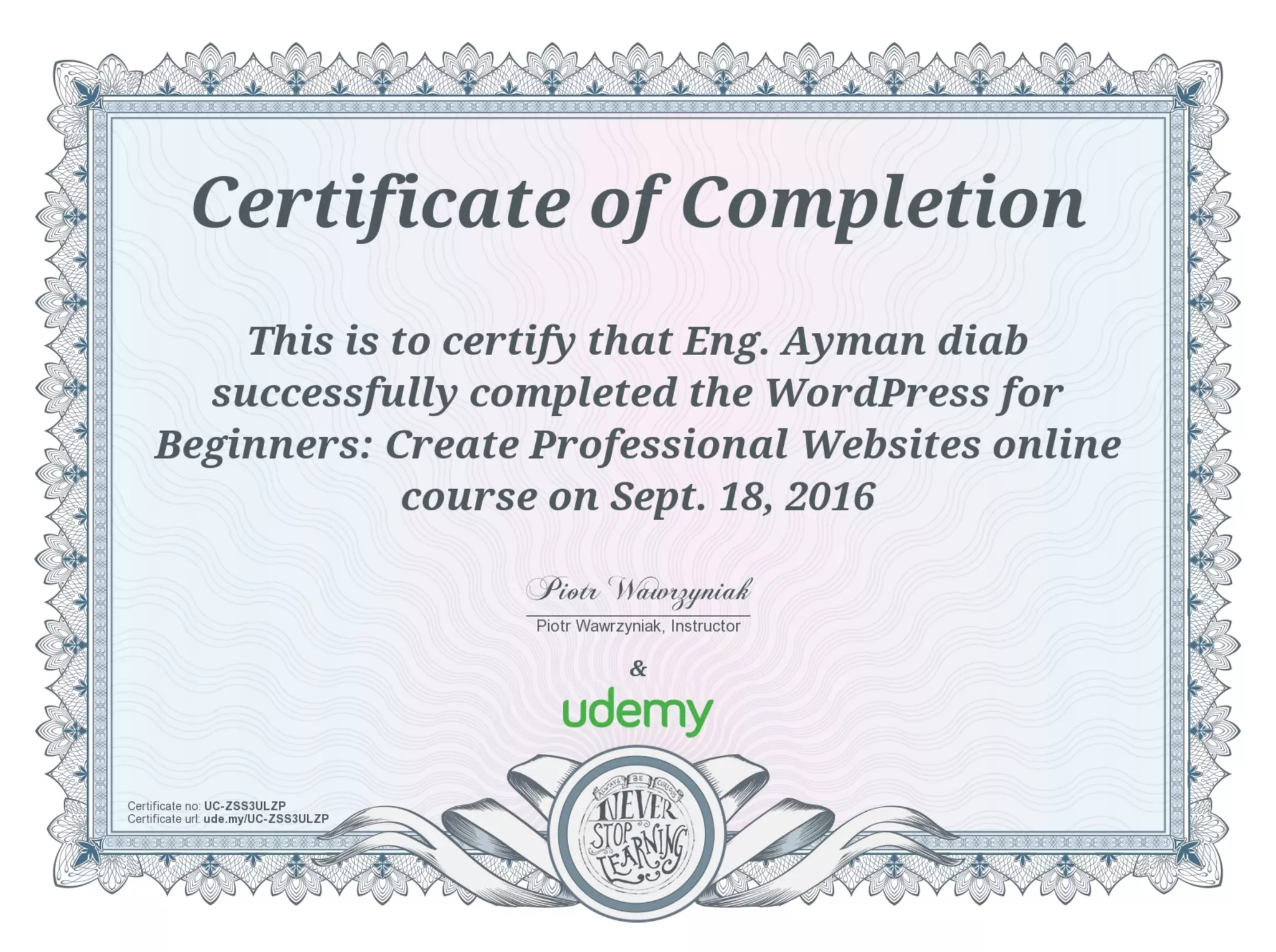 WordPress for Beginners Create Professional Websites