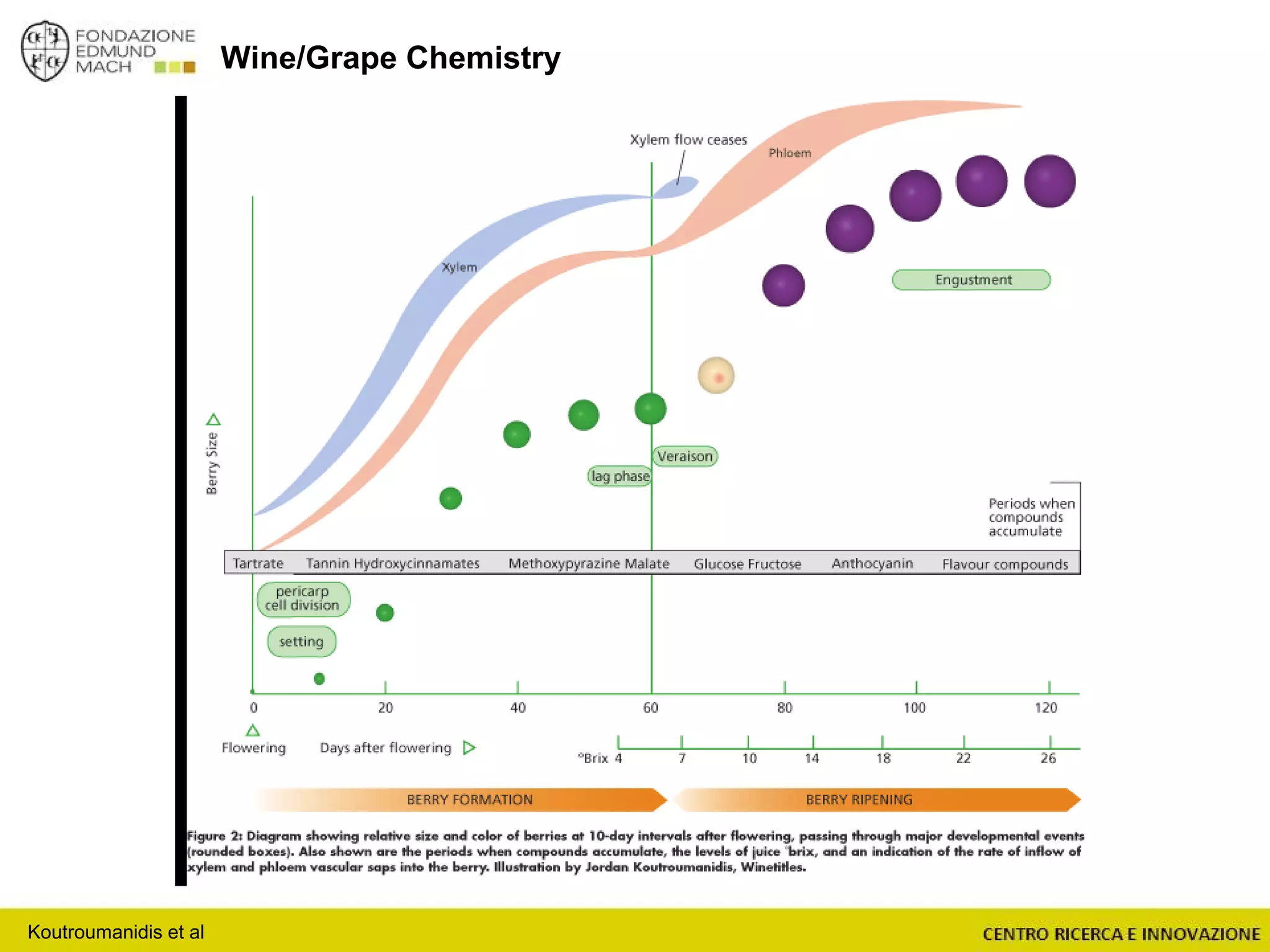 Wine/Grape Chemistry
Koutroumanidis et al
 