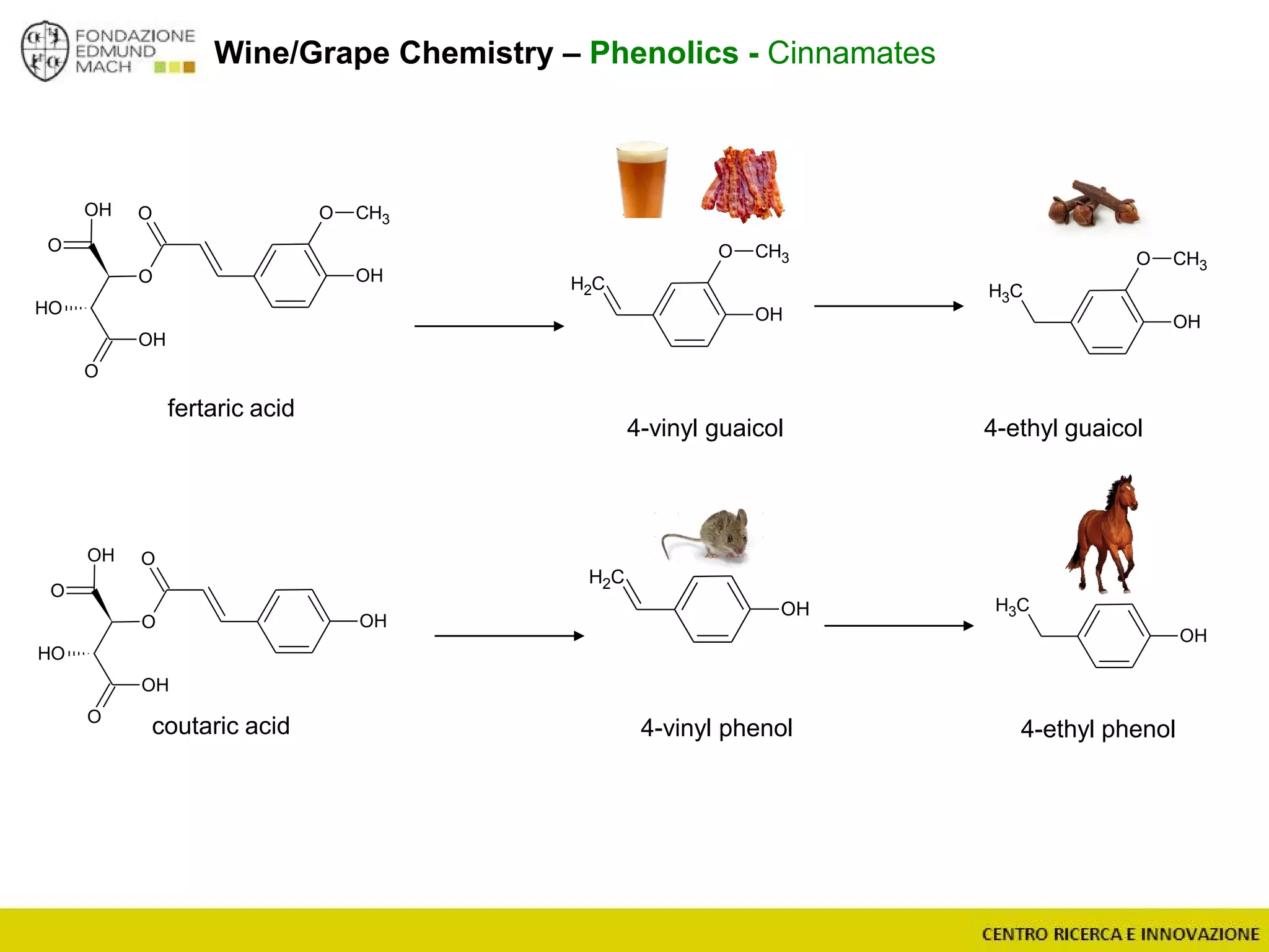fertaric acid
Wine/Grape Chemistry – Phenolics - Cinnamates
coutaric acid 4-vinyl phenol
4-vinyl guaicol 4-ethyl guaicol
4-ethyl phenol
OH
O
O
OH
O
OH
OH
O
OH
O
O
OH
O
OH
OH
O
O CH3
OH
CH2
O CH3
OH
CH3
O CH3
OH
CH3OH
CH2
 