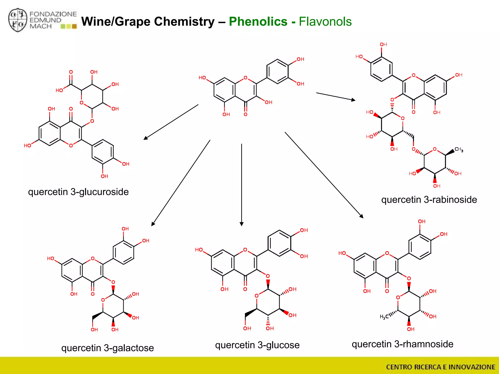 Wine/Grape Chemistry – Phenolics - Flavonols
quercetin
quercetin 3-rabinoside
quercetin 3-glucuroside
quercetin 3-galactose quercetin 3-rhamnosidequercetin 3-glucose
 