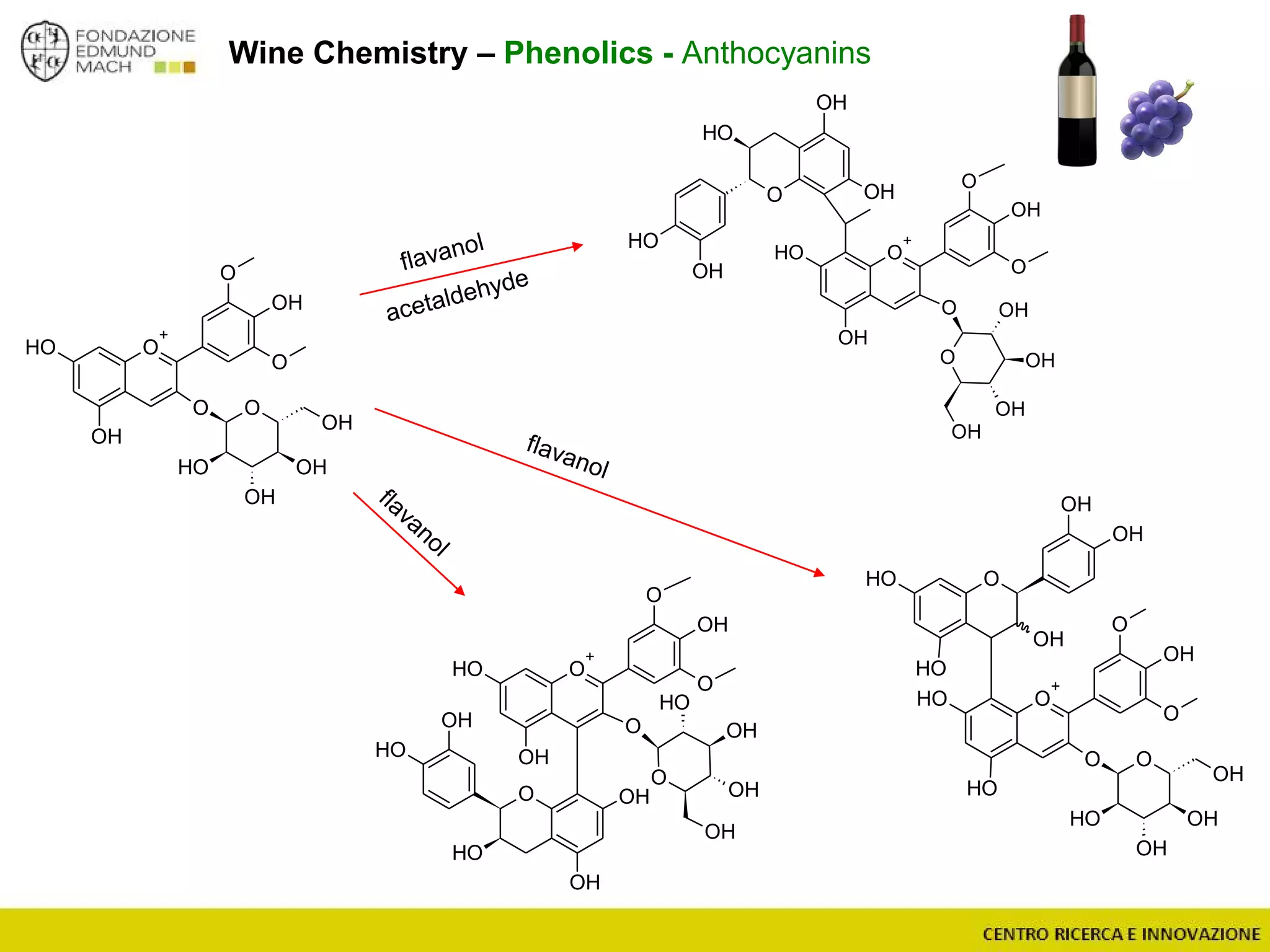 Wine Chemistry – Phenolics - Anthocyanins
OH
OOH
OH
OH
OH
OH
O
+
OH
O
OH
O
OO
OH
OH
OH
OH
O
+
O
OH
OH
O
O OH
OH
OH
OH
OH
O
OH
O
OH
OH
OH
OH
O
+
O
OH
OH
O
O
OH
OH
OH
OH
O
OH
OH
O
OH
OH
OH
OH
O
+
OH
OH
O
OH
O
OO
OH
OH
OH
OH
 