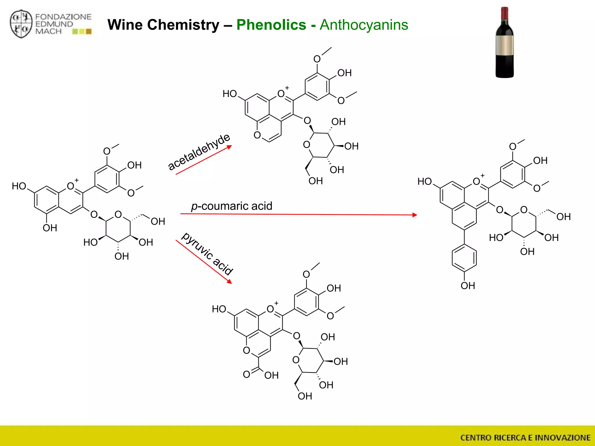 Wine Chemistry – Phenolics - Anthocyanins
O
+
OH
OH
O
OH
O
OO
OH
OH
OH
OH
O
+
O
OH
OH
O
O OH
OH
OH
OH
O
O
O
+
O
OH
OH
O
O OH
OH
OH
OH
O
O OH
O
O
+
OH
O
OH
O
OO
OH
OH
OH
OH
OH
p-coumaric acid
 