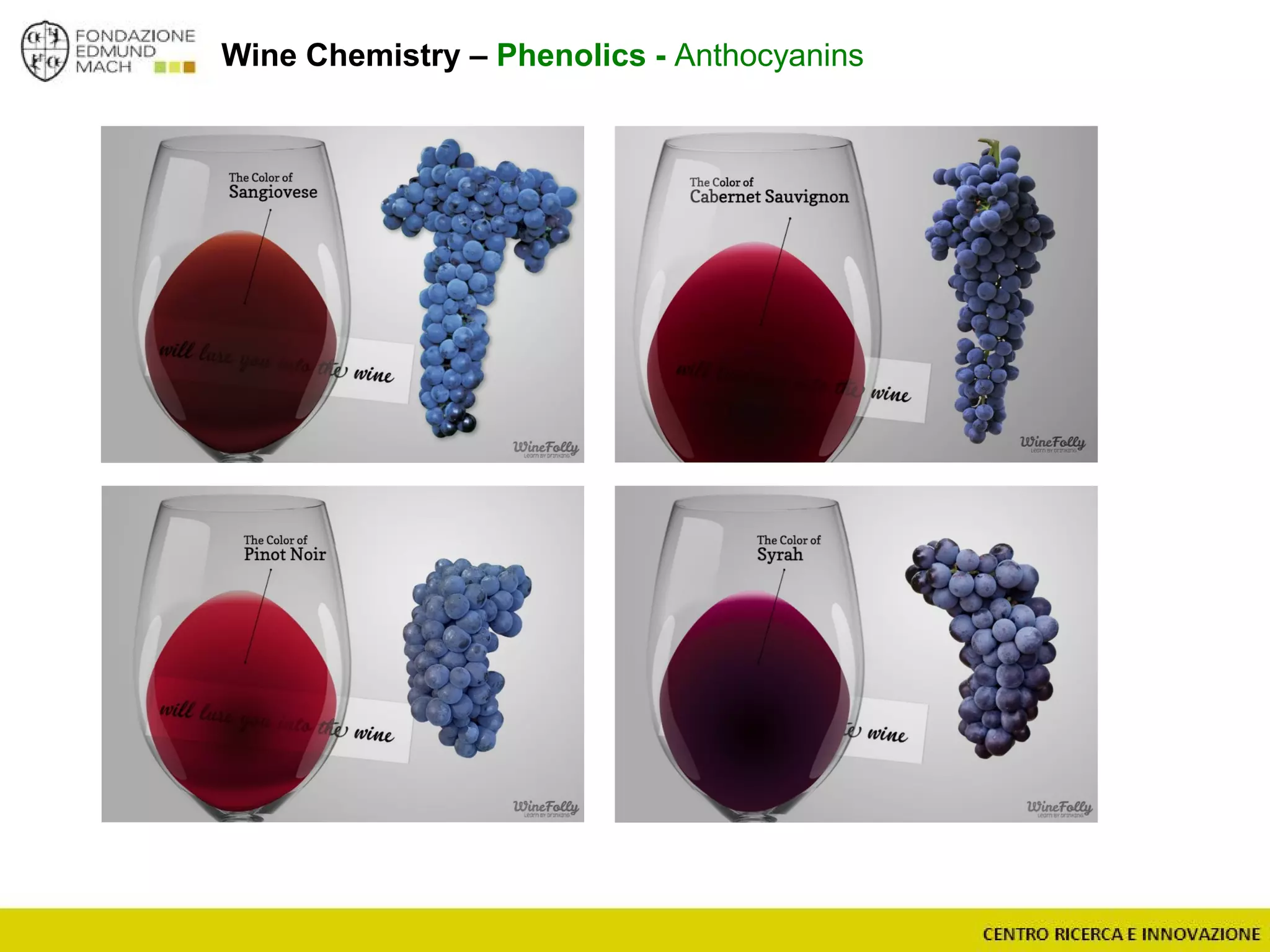 Wine Chemistry – Phenolics - Anthocyanins
 