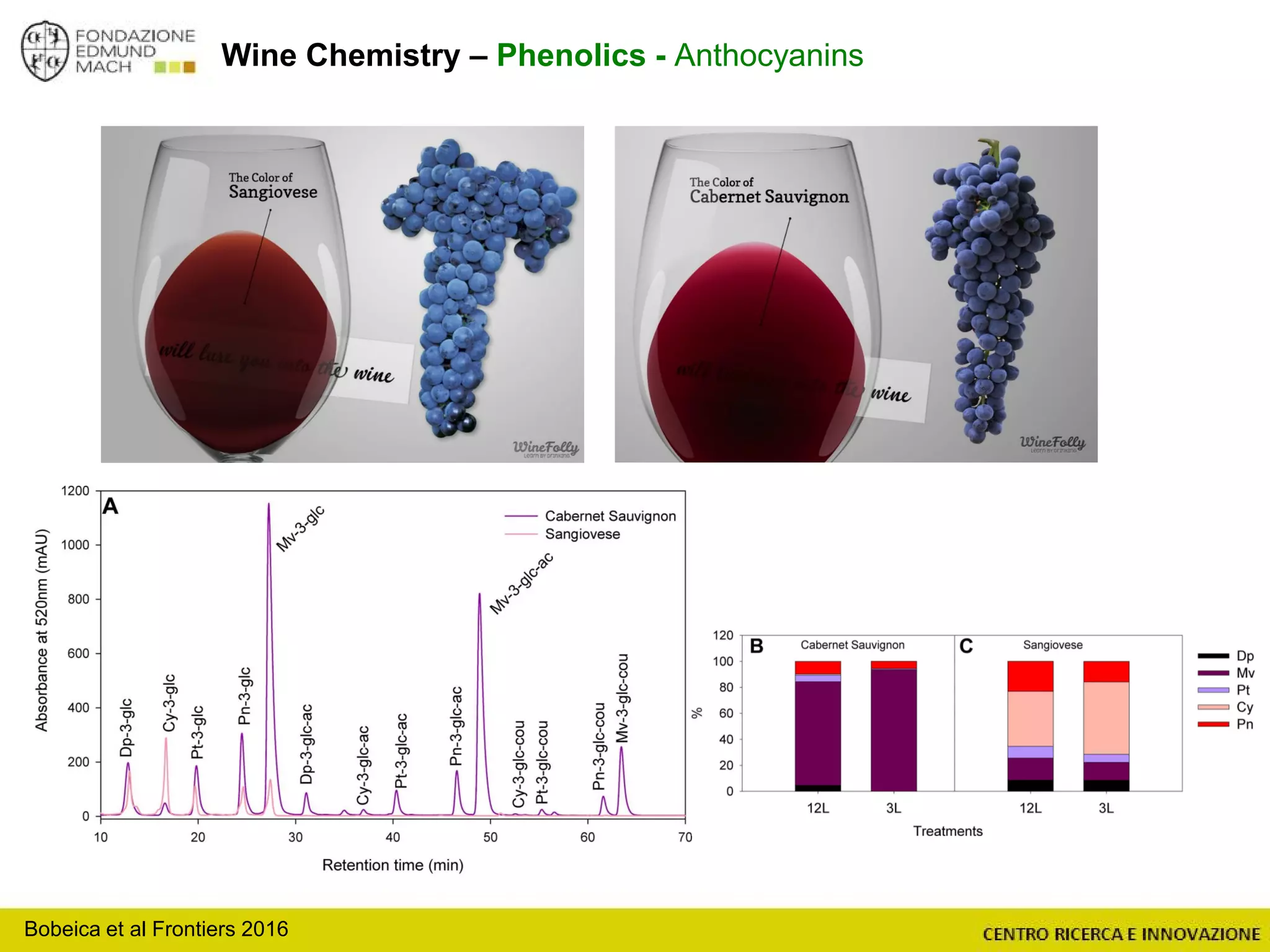 Wine Chemistry – Phenolics - Anthocyanins
Bobeica et al Frontiers 2016
 