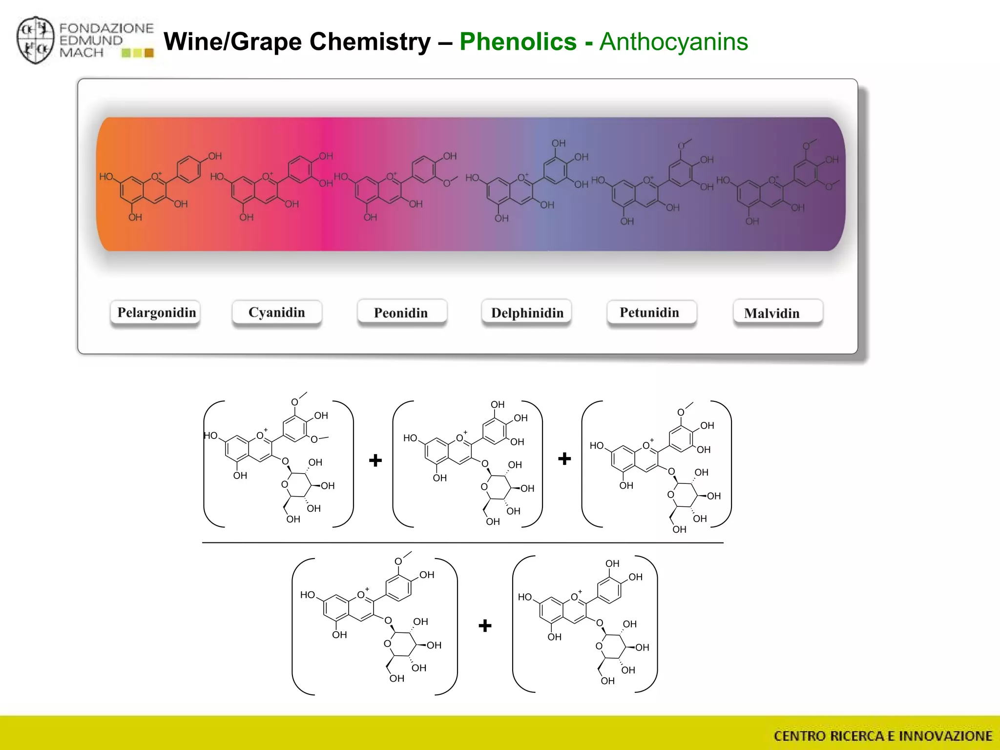Wine/Grape Chemistry – Phenolics - Anthocyanins
O
+
O
OH
OH
OH
O
O OH
OH
OH
OH
O O
+
OH
OH
OH
OH
O
O OH
OH
OH
OH
OH
O
+
O
OH
OH
OH
O
O OH
OH
OH
OH
O
+
OH
OH
OH
OH
O
O OH
OH
OH
OH
O
+
O
OH
OH
OH
O
O OH
OH
OH
OH
OH
+
+ +
 