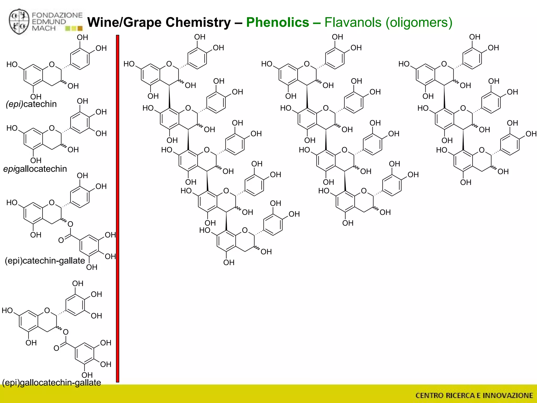 Wine/Grape Chemistry – Phenolics – Flavanols (oligomers)
(epi)catechin
epigallocatechin
OOH
OH
O
OH
O
OH
OH
OH
OH
OOH
OH
O
OH
O
OH
OH
OH
OH
OH
(epi)catechin-gallate
(epi)gallocatechin-gallate
OOH
OH
OH
OH
OH
OH
OOH
OH
OH
OH
OH
OOH
OH
OH
OH
OH
OOH
OH
OH
OH
OH
OOH
OH
OH
OH
OH
OOH
OH
OH
OH
OH
OOH
OH
OH
OH
OH
OOH
OH
OH
OH
OH
OOH
OH
OH
OH
OH
OOH
OH
OH
OH
OH
OOH
OH
OH
OH
OH
OOH
OH
OH
OH
OH
OOH
OH
OH
OH
OH
OOH
OH
OH
OH
OH
 