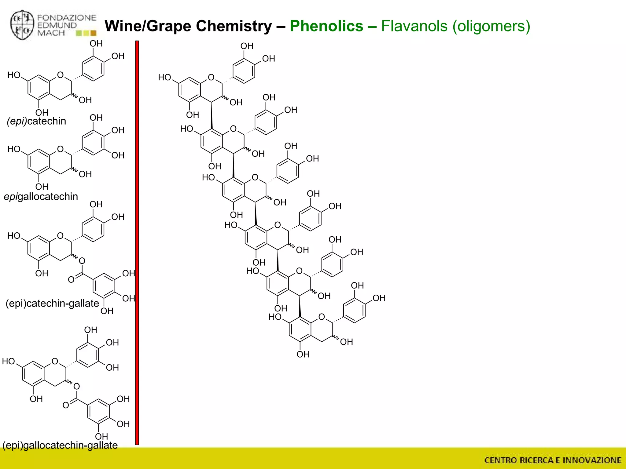 Wine/Grape Chemistry – Phenolics – Flavanols (oligomers)
(epi)catechin
epigallocatechin
OOH
OH
O
OH
O
OH
OH
OH
OH
OOH
OH
O
OH
O
OH
OH
OH
OH
OH
(epi)catechin-gallate
(epi)gallocatechin-gallate
OOH
OH
OH
OH
OH
OH
OOH
OH
OH
OH
OH
OOH
OH
OH
OH
OH
OOH
OH
OH
OH
OH
OOH
OH
OH
OH
OH
OOH
OH
OH
OH
OH
OOH
OH
OH
OH
OH
OOH
OH
OH
OH
OH
 