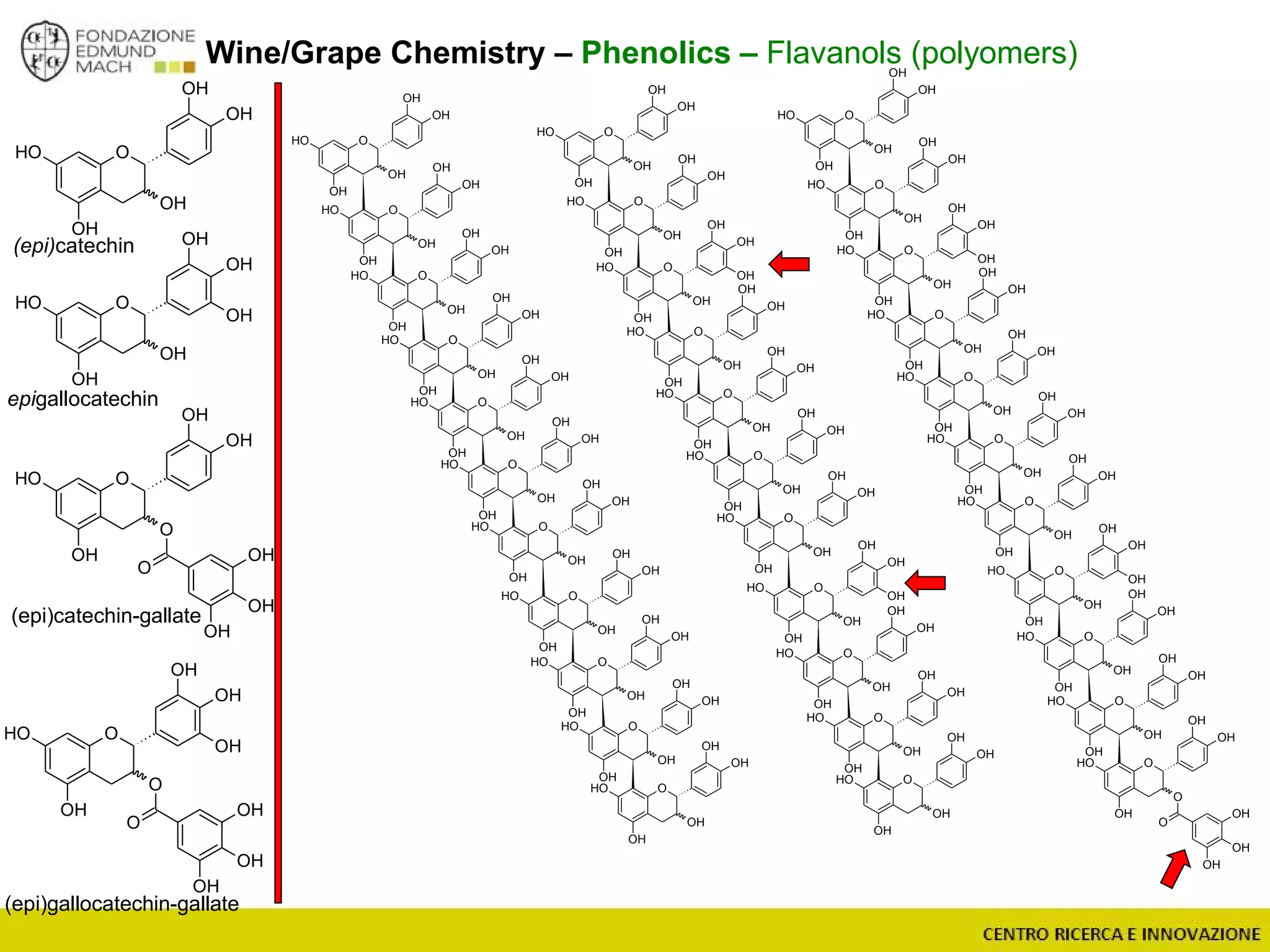 Wine/Grape Chemistry – Phenolics – Flavanols (polyomers)
(epi)catechin
epigallocatechin
OOH
OH
O
OH
O
OH
OH
OH
OH
OOH
OH
O
OH
O
OH
OH
OH
OH
OH
(epi)catechin-gallate
(epi)gallocatechin-gallate
OOH
OH
OH
OH
OH
OH
OOH
OH
OH
OH
OH
OOH
OH
OH
OH
OH
OOH
OH
OH
OH
OH
OOH
OH
OH
OH
OH
OOH
OH
OH
OH
OH
OOH
OH
OH
OH
OH
OOH
OH
OH
OH
OH
OOH
OH
OH
OH
OH
OOH
OH
OH
OH
OH
OOH
OH
OH
OH
OH
OOH
OH
OH
OH
OH
OOH
OH
OH
OH
OH
OOH
OH
OH
OH
OH
OOH
OH
OH
OH
OH
OOH
OH
OH
OH
OH
OOH
OH
OH
OH
OH
OOH
OH
OH
OH
OH
OOH
OH
OH
OH
OH
OOH
OH
OH
OH
OH
OOH
OH
OH
OH
OH
OOH
OH
OH
OH
OH
OOH
OH
OH
OH
OH
OOH
OH
OH
OH
OH
OH
OH
OOH
OH
OH
OH
OH
OOH
OH
OH
OH
OH
OOH
OH
OH
OH
OH
OOH
OH
OH
OH
OH
OOH
OH
OH
OH
OH
OOH
OH
OH
OH
OH
OOH
OH
OH
OH
OH
OOH
OH
OH
OH
OH
OOH
OH
OH
OH
OH
OOH
OH
OH
OH
OH
OOH
OH
O
OH
OH
OH
OH
O
OH
OH
OH
 