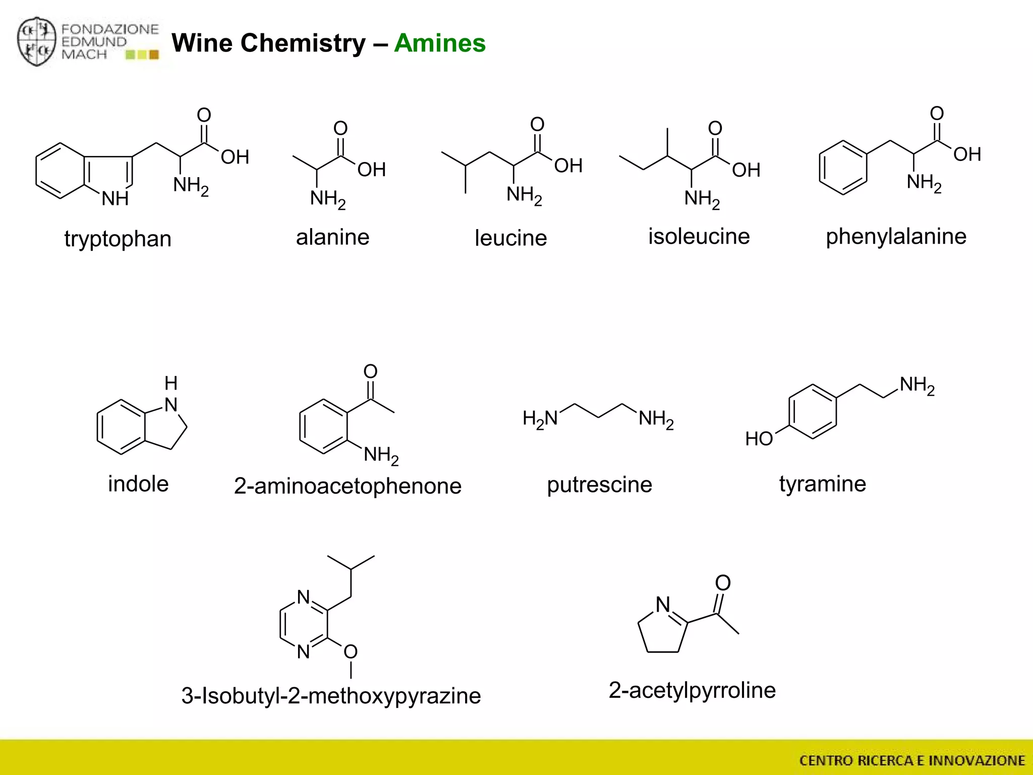 Wine Chemistry – Amines
O
NH2
OH
O
NH2
NH
OH
O
NH2
OH
O
NH2
OH
tryptophan phenylalanineleucine isoleucinealanine
N
H
O
NH2
NH2 NH2
OH
NH2
N
N O
3-Isobutyl-2-methoxypyrazine
indole putrescine tyramine2-aminoacetophenone
N
O
2-acetylpyrroline
O
NH2
OH
 