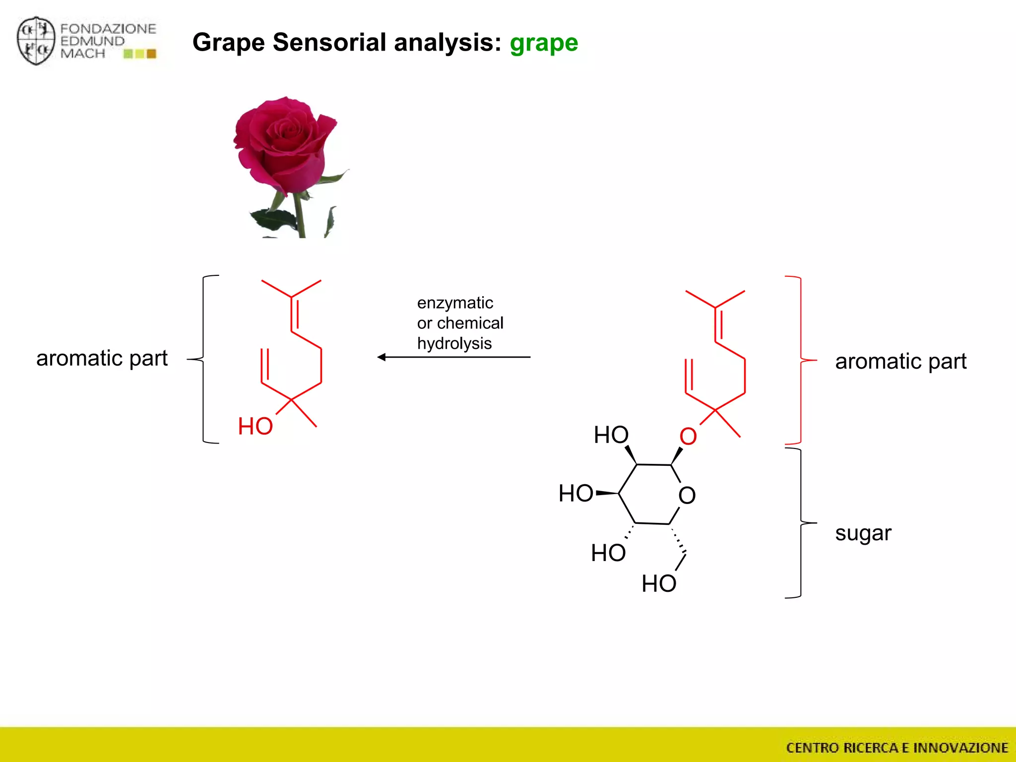 Grape Sensorial analysis: grape
aromatic part aromatic part
sugar
O
OOH
OH
OH
OH
OH
enzymatic
or chemical
hydrolysis
 