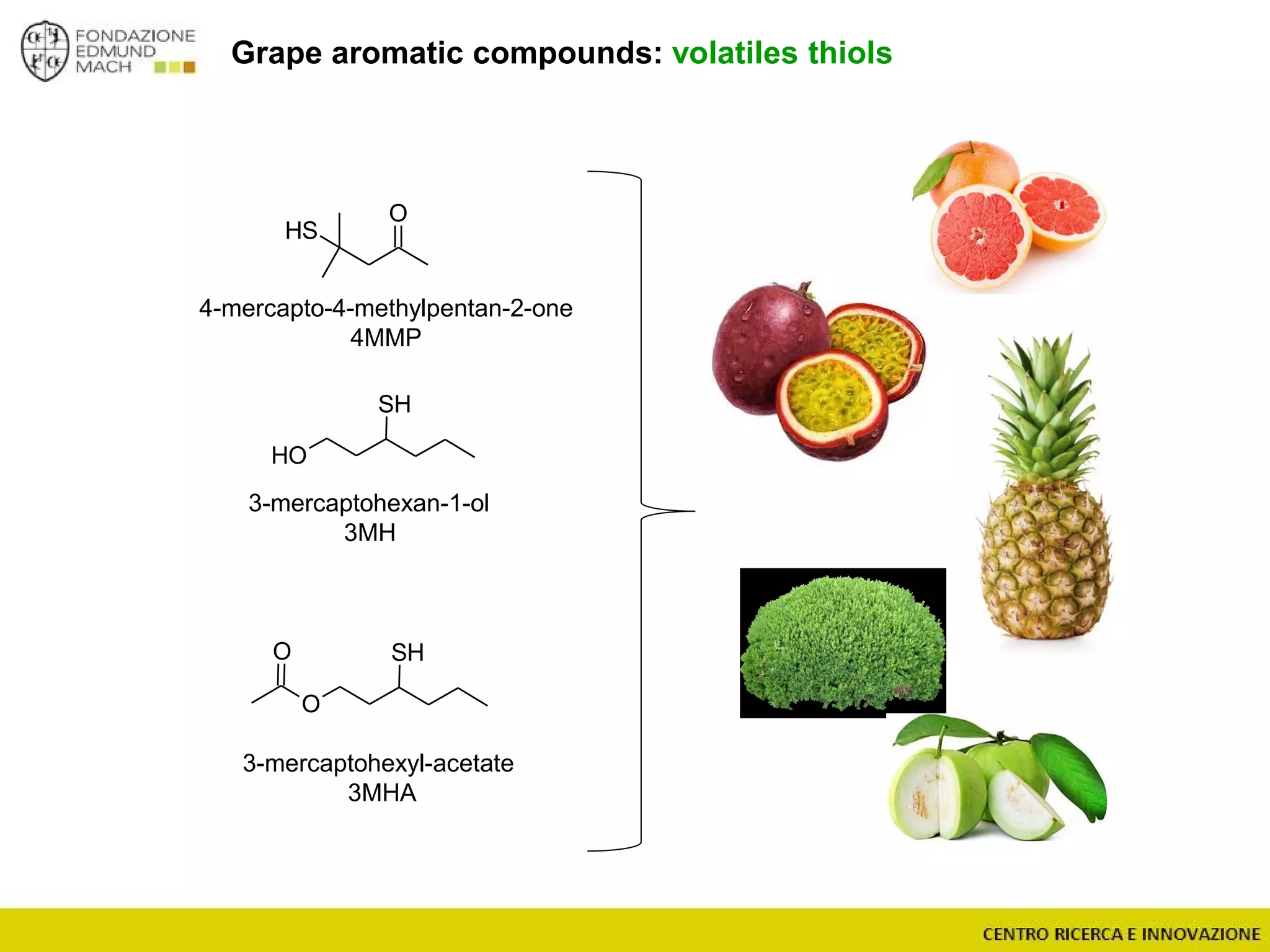 Grape aromatic compounds: volatiles thiols
O
SH
OH
SH
O
SHO
4-mercapto-4-methylpentan-2-one
4MMP
3-mercaptohexan-1-ol
3MH
3-mercaptohexyl-acetate
3MHA
 
