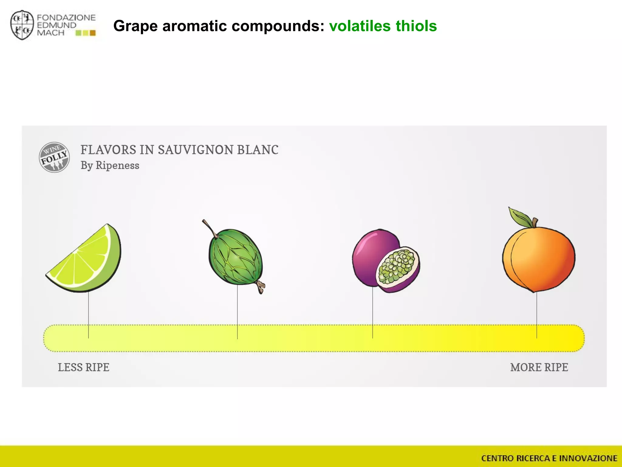 Grape aromatic compounds: volatiles thiols
 