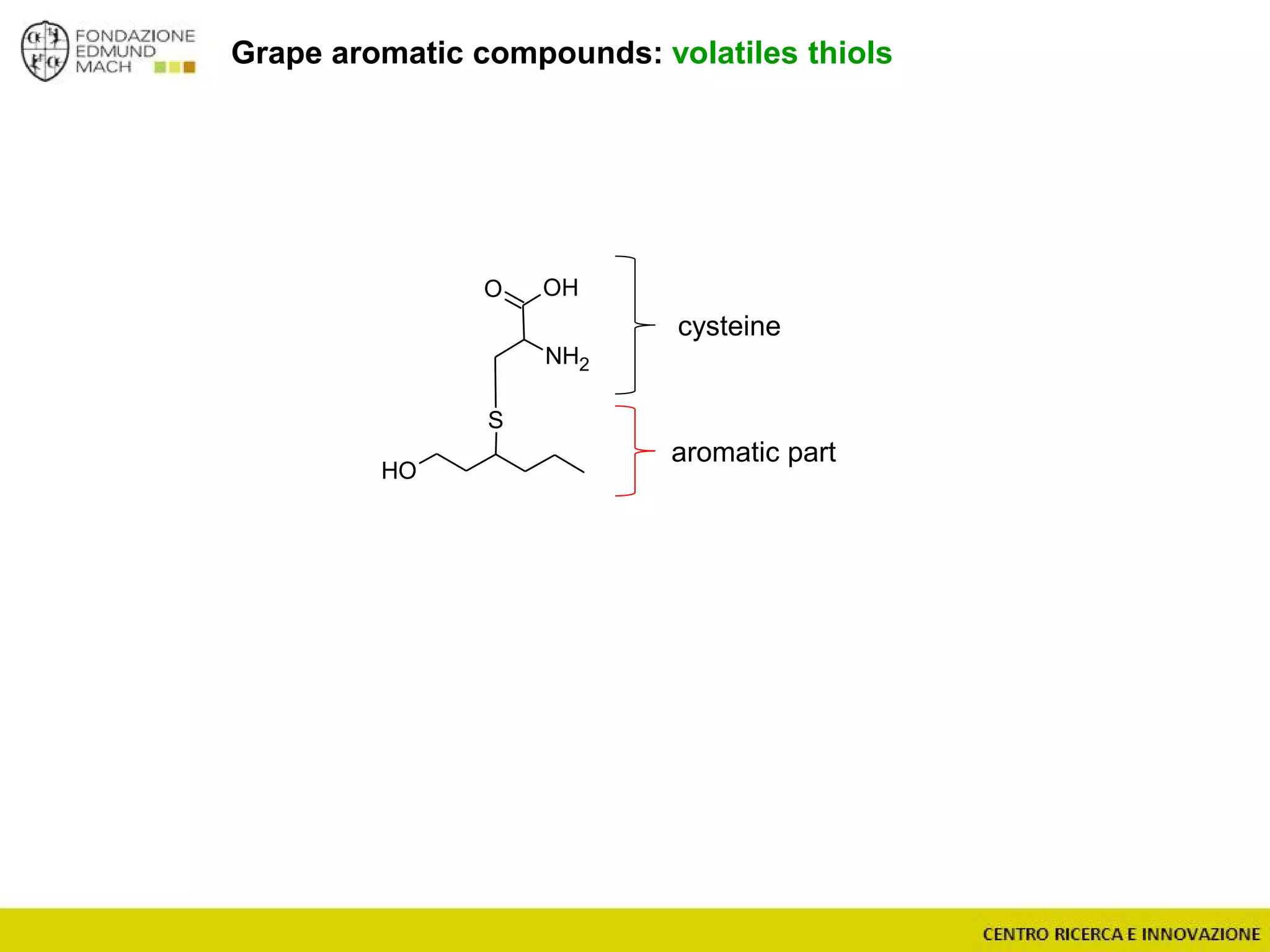 OH
S
O
NH2
OH
Grape aromatic compounds: volatiles thiols
aromatic part
cysteine
 