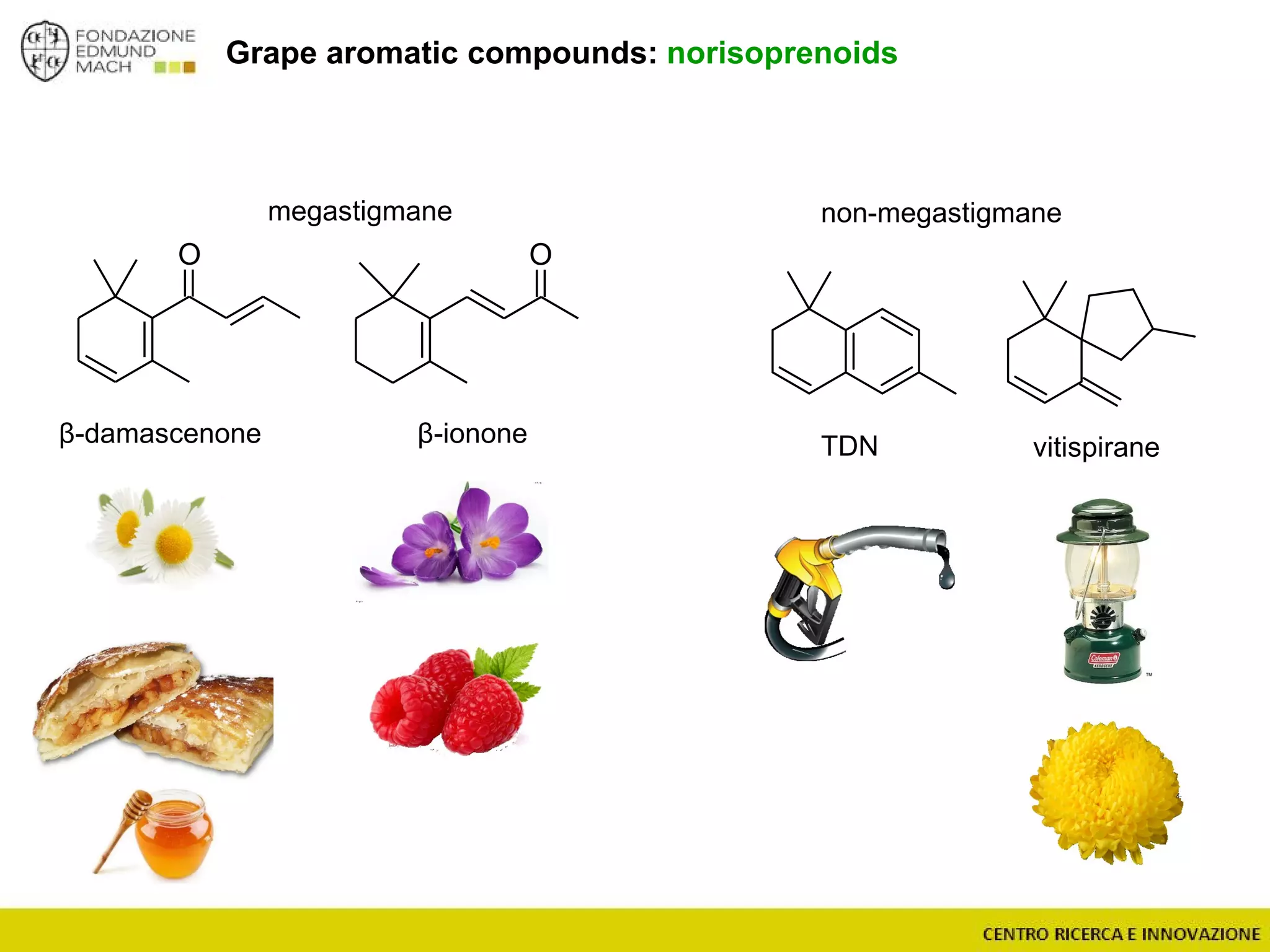 O
Grape aromatic compounds: norisoprenoids
megastigmane non-megastigmane
TDNβ-damascenone vitispirane
O
β-ionone
 