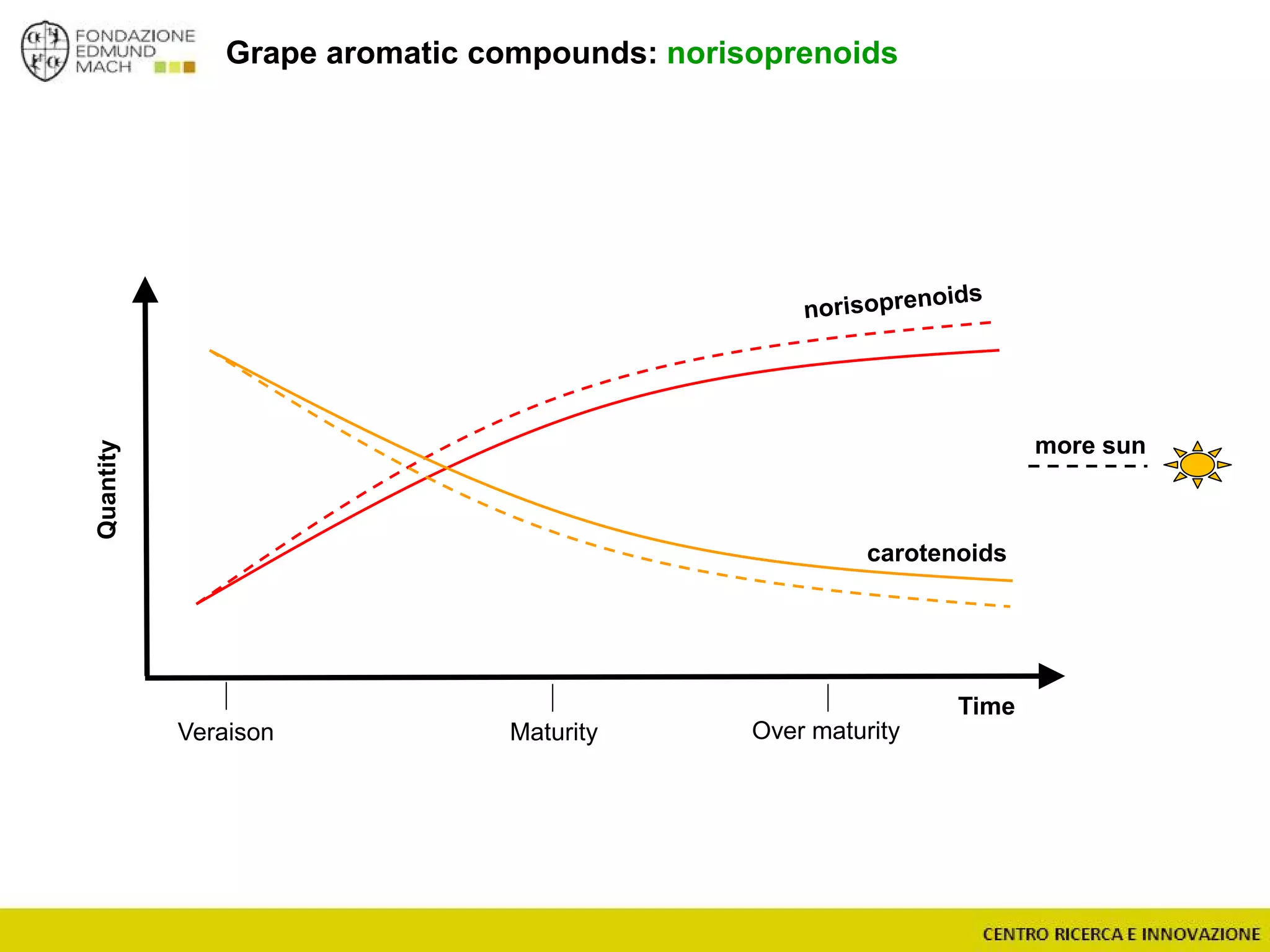 Grape aromatic compounds: norisoprenoids
Time
Quantity
carotenoids
more sun
Veraison Maturity Over maturity
 