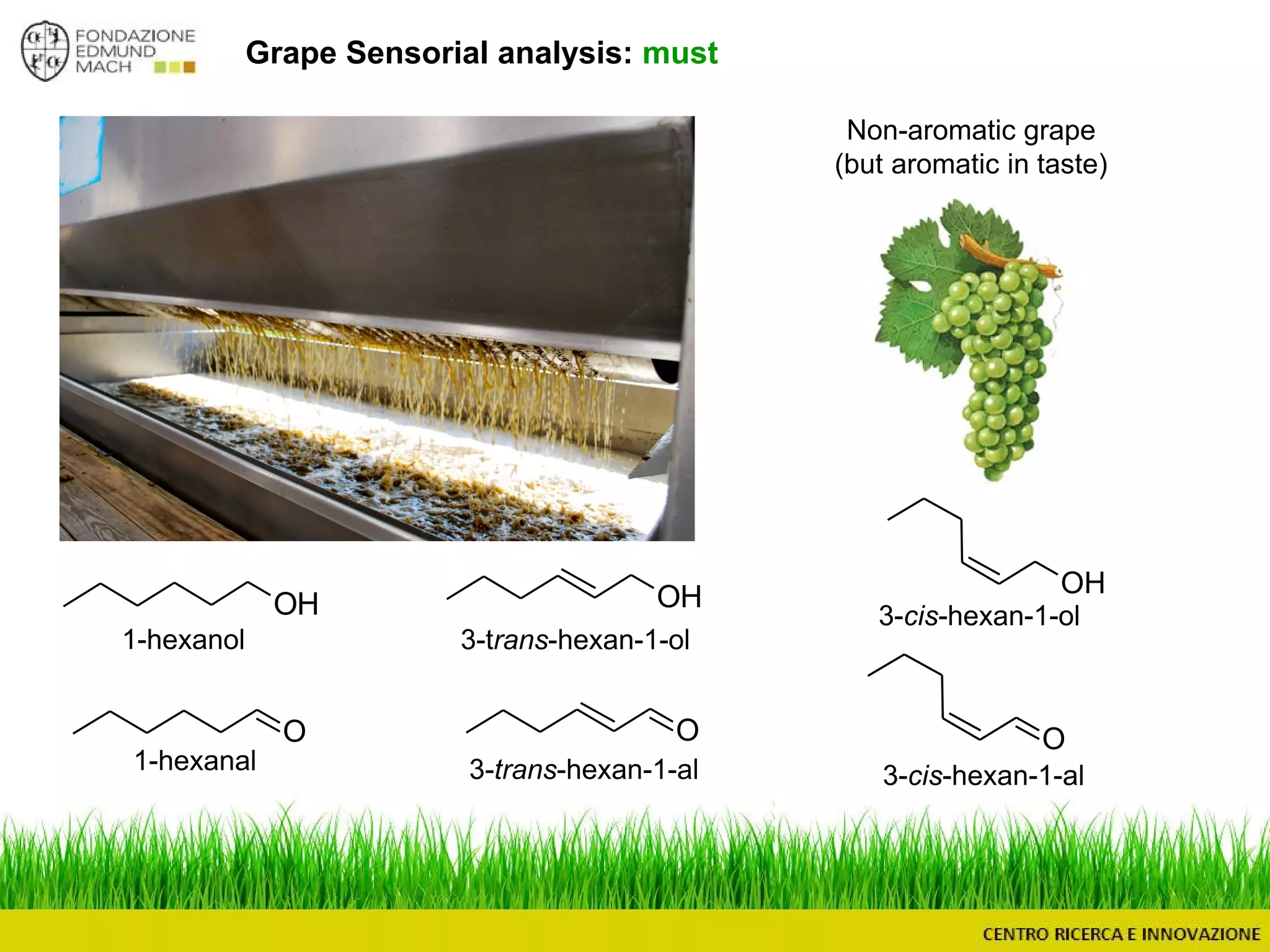 Grape Sensorial analysis: must
O
1-hexanol
OH OH OH
OO
Non-aromatic grape
(but aromatic in taste)
1-hexanal
3-trans-hexan-1-ol
3-trans-hexan-1-al
3-cis-hexan-1-ol
3-cis-hexan-1-al
 