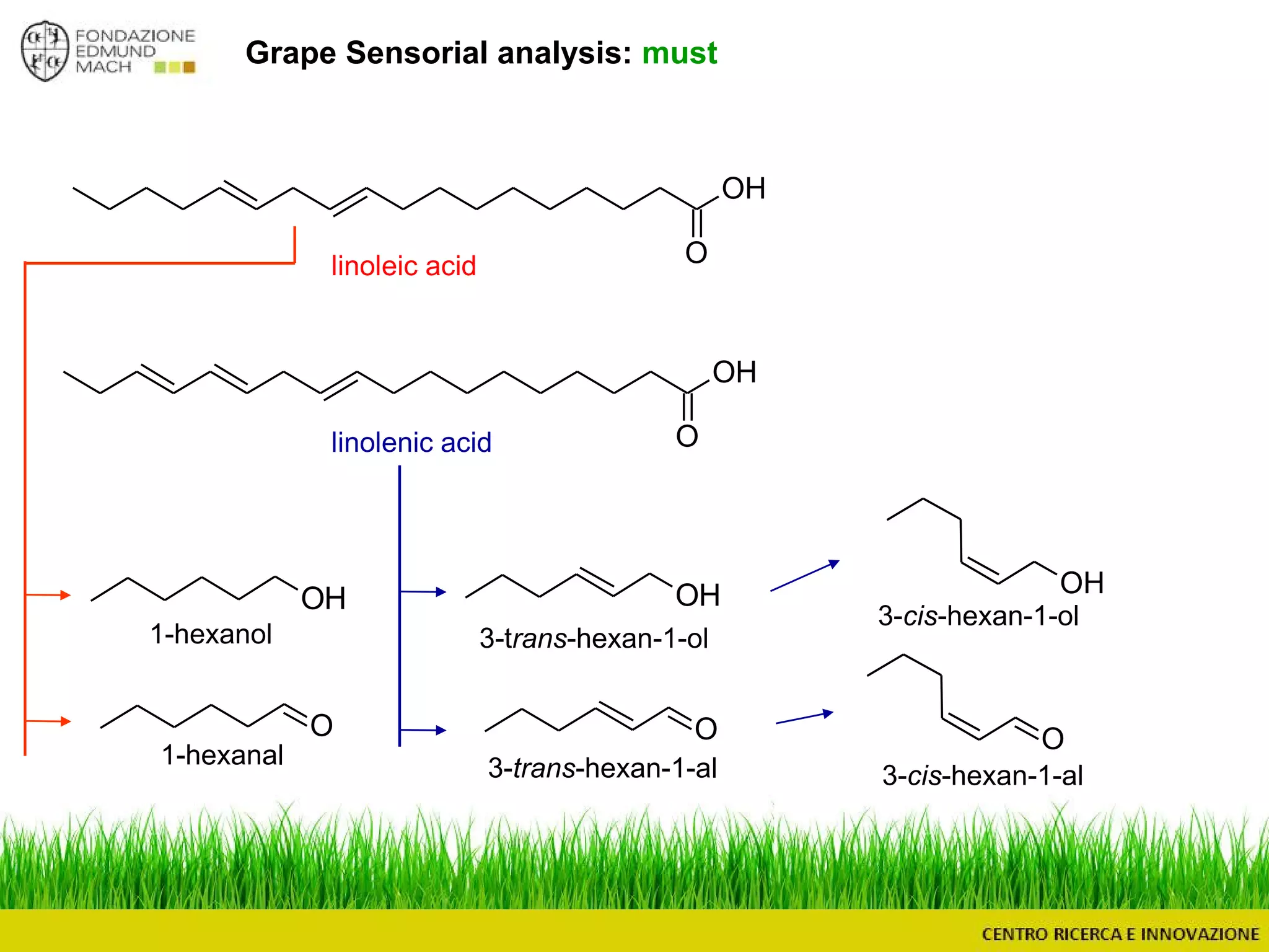 Grape Sensorial analysis: must
O
1-hexanol
OH OH OH
OO
1-hexanal
3-trans-hexan-1-ol
3-trans-hexan-1-al
3-cis-hexan-1-ol
3-cis-hexan-1-al
O
OH
O
OH
linoleic acid
linolenic acid
 