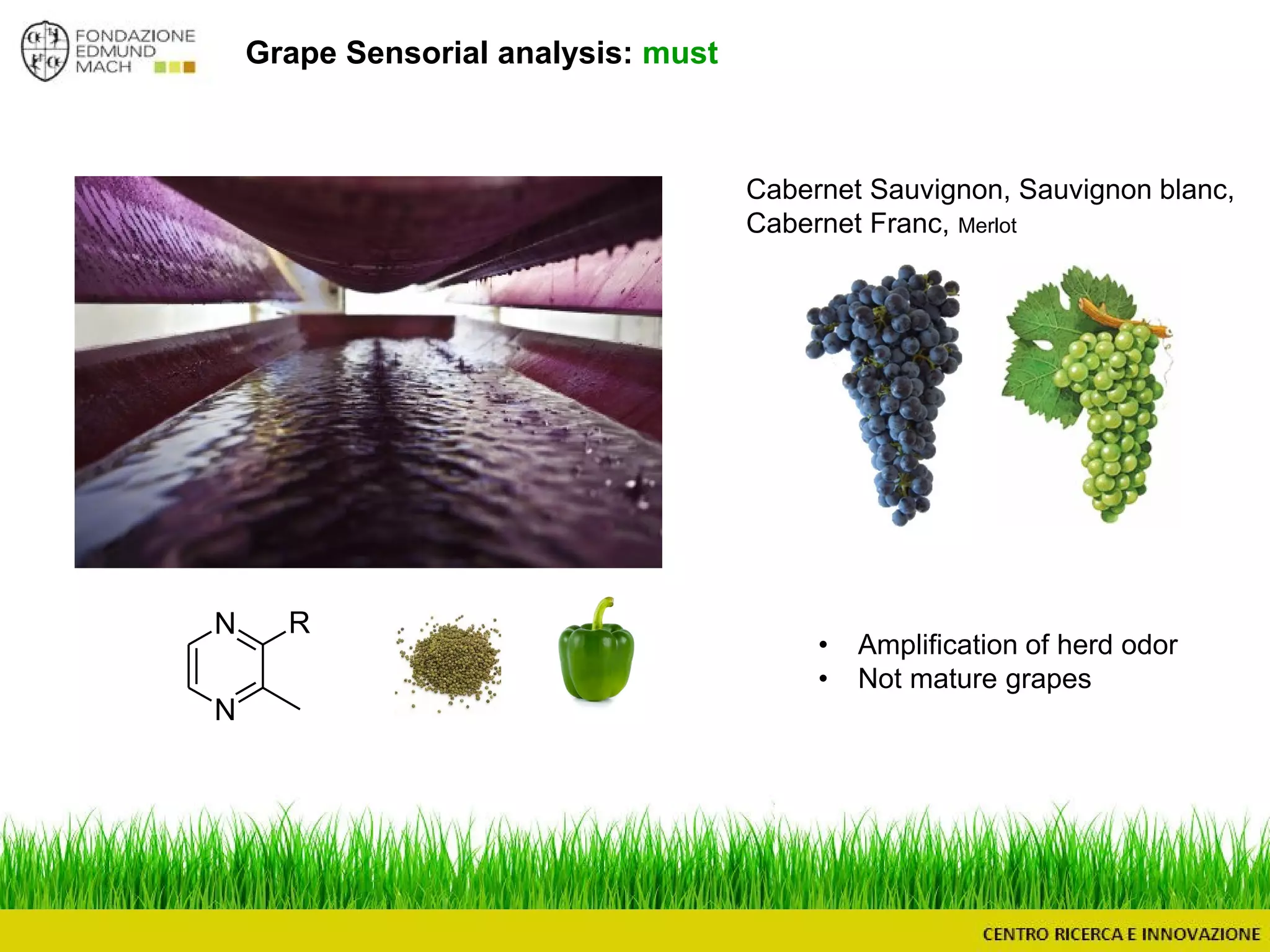 Grape Sensorial analysis: must
Cabernet Sauvignon, Sauvignon blanc,
Cabernet Franc, Merlot
N
N
R
• Amplification of herd odor
• Not mature grapes
 