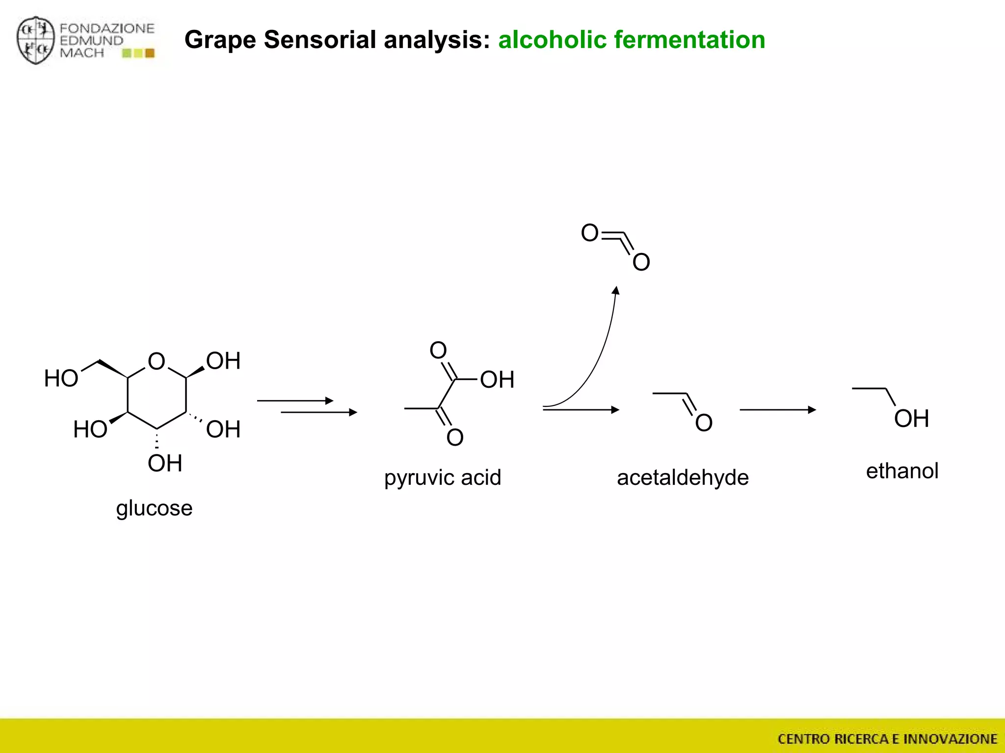 Grape Sensorial analysis: alcoholic fermentation
OH
O
O
O OH
OH
OH
OH
OH
O
O
OH
O
glucose
pyruvic acid acetaldehyde ethanol
 