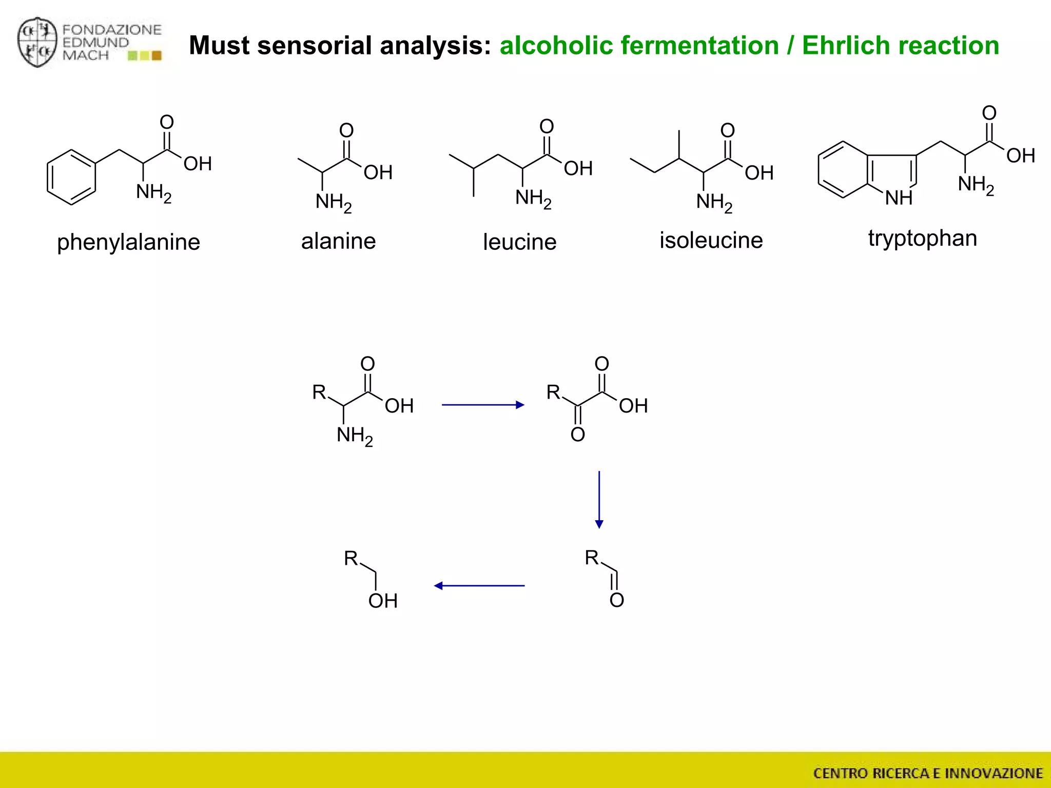 O
NH2
OH
O
NH2
R
OH
O
O
R
OH
O
R
OH
R
O
NH2
NH
OH
O
NH2
OH
O
NH2
OH
Must sensorial analysis: alcoholic fermentation / Ehrlich reaction
tryptophanphenylalanine leucine isoleucinealanine
O
NH2
OH
 
