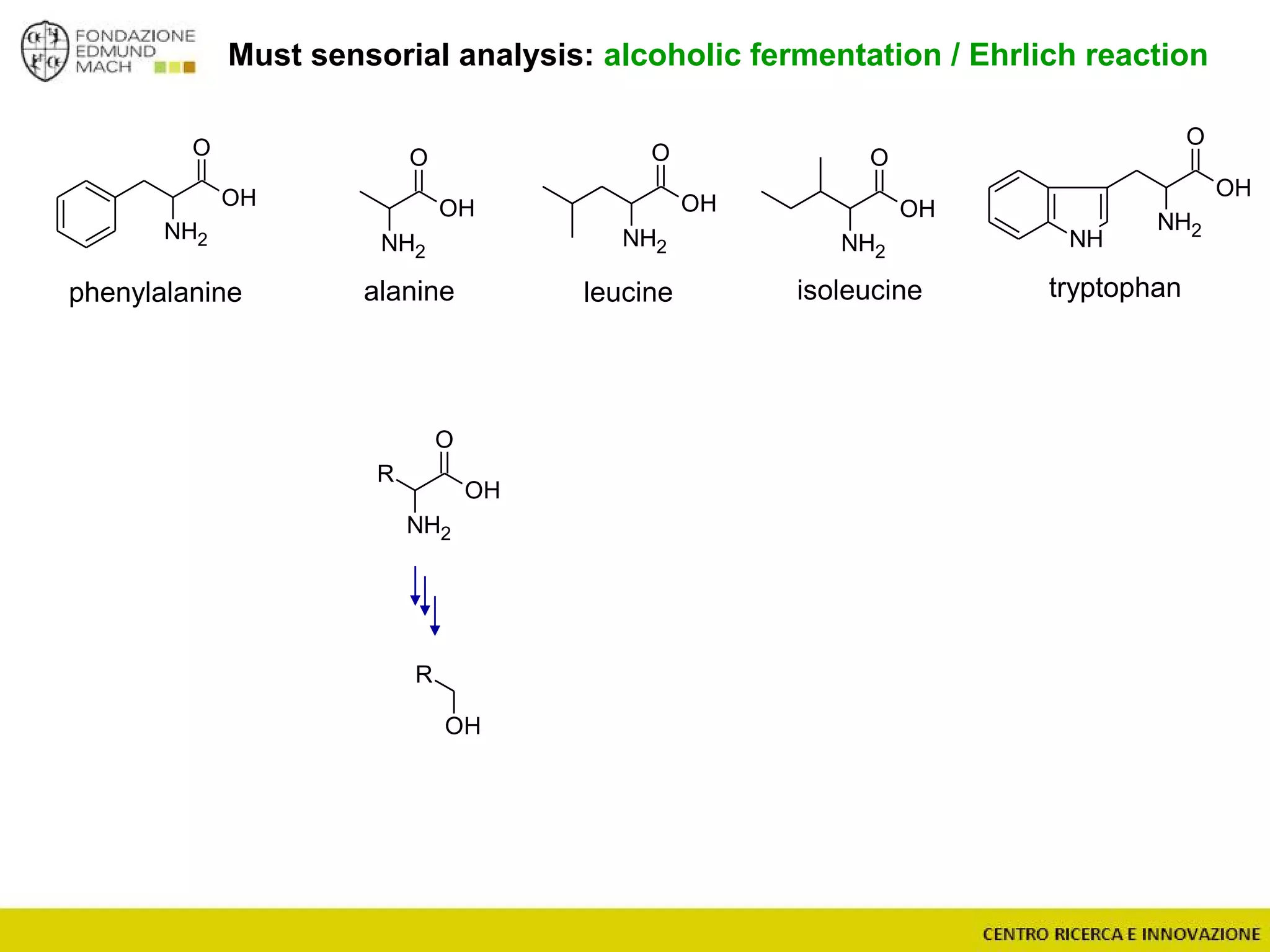 O
NH2
OH
O
NH2
R
OH
OH
R
O
NH2
OH
O
NH2
OH
Must sensorial analysis: alcoholic fermentation / Ehrlich reaction
tryptophanphenylalanine leucine isoleucinealanine
O
NH2
NH
OH
O
NH2
OH
 