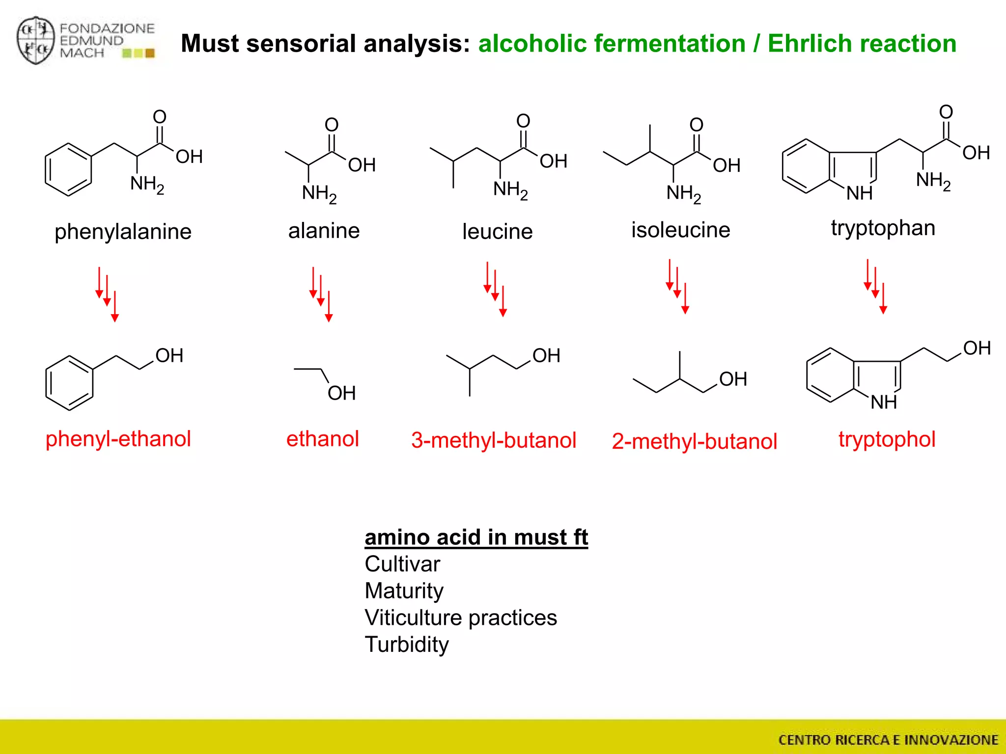 O
NH2
OH
O
NH2
NH
OH
OH
NH
O
NH2
OH
O
NH2
OH
OH
OH
Must sensorial analysis: alcoholic fermentation / Ehrlich reaction
tryptophanphenylalanine leucine isoleucinealanine
OH
phenyl-ethanol ethanol 3-methyl-butanol tryptophol2-methyl-butanol
amino acid in must ft
Cultivar
Maturity
Viticulture practices
Turbidity
O
NH2
OH
OH
 