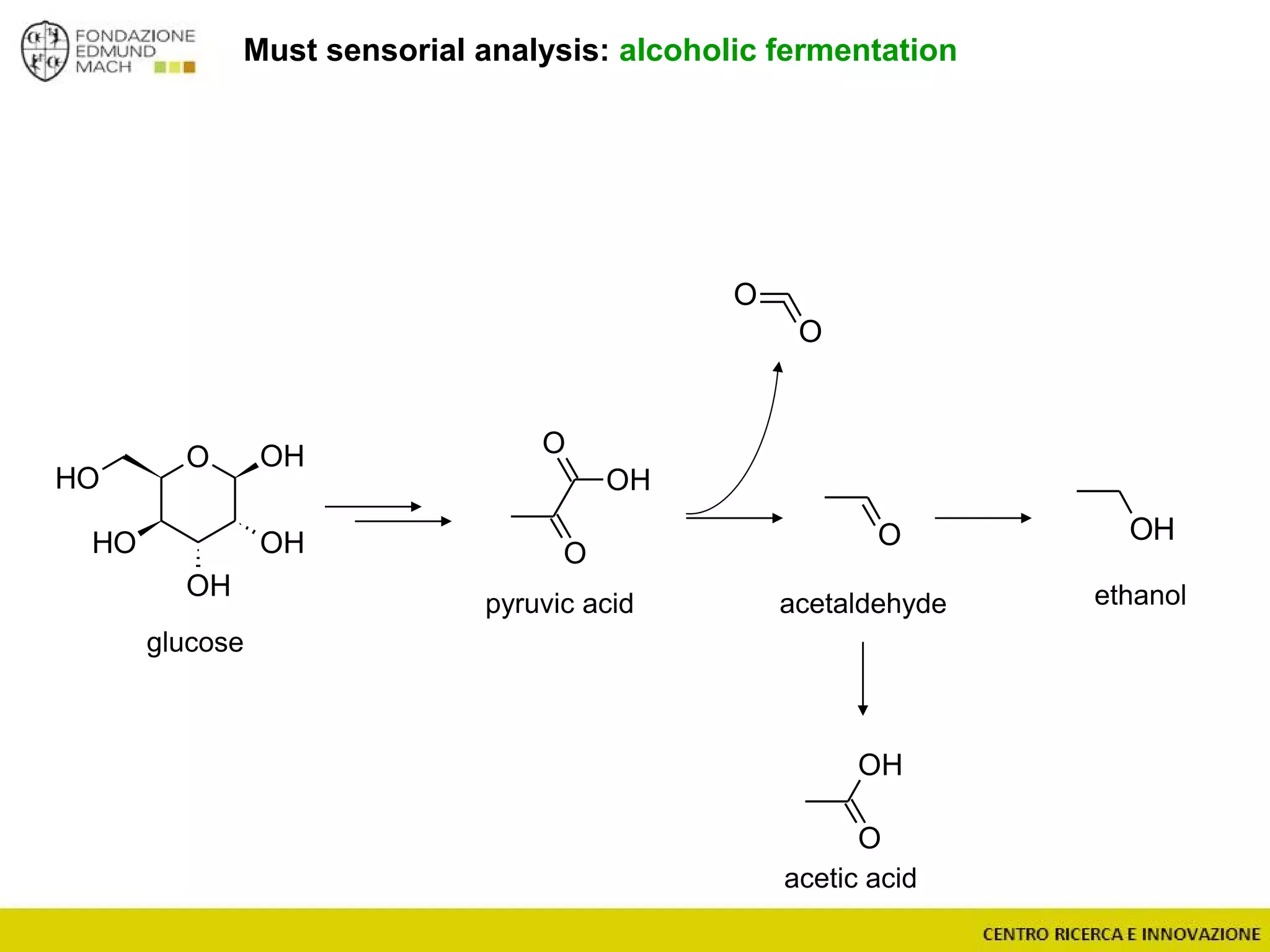 Must sensorial analysis: alcoholic fermentation
OH
O
O
O OH
OH
OH
OH
OH
O
O
OH
O
glucose
pyruvic acid acetaldehyde ethanol
O
OH
acetic acid
 
