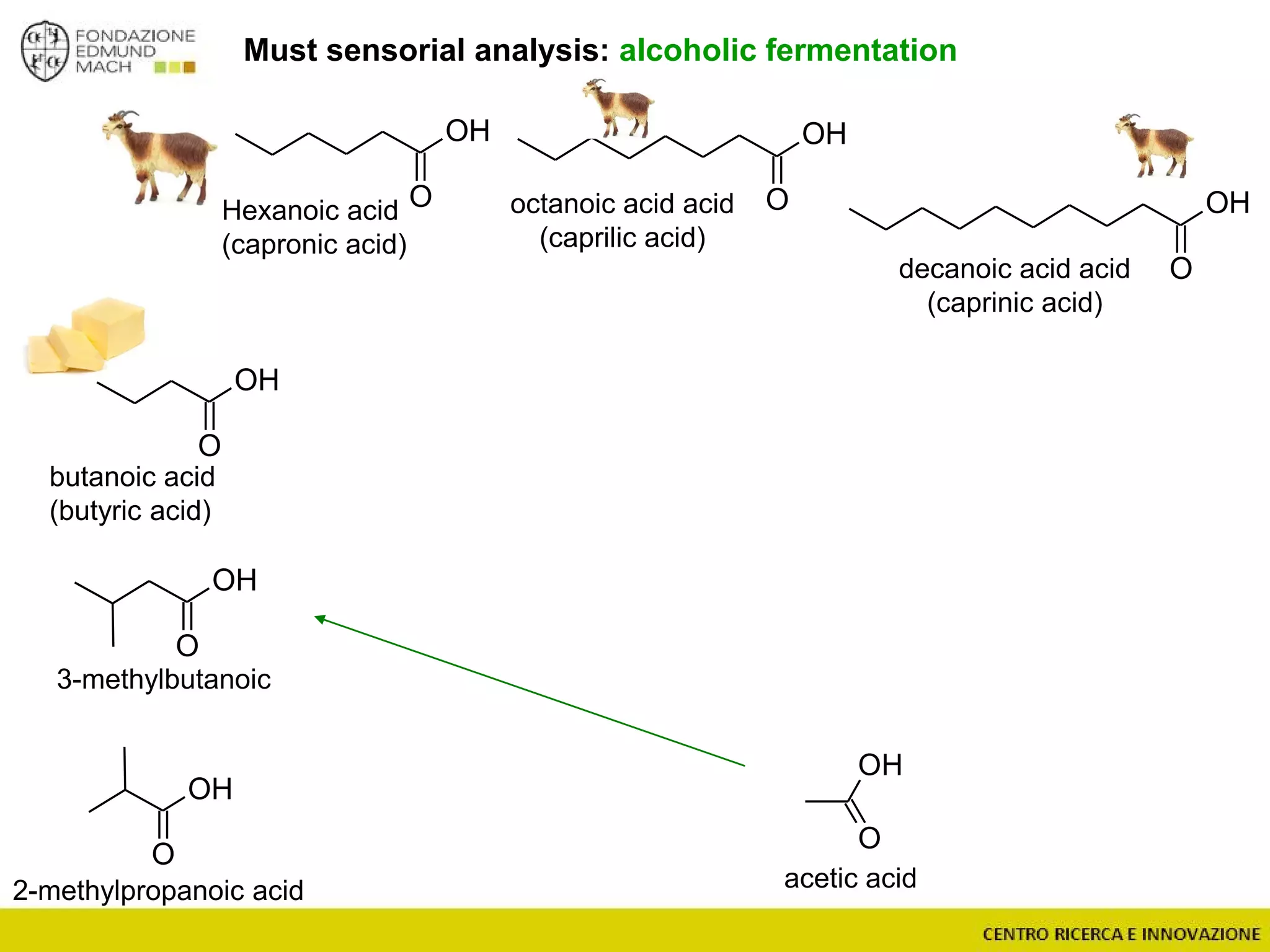 Must sensorial analysis: alcoholic fermentation
O
OH
acetic acid
OH
O
OH
O
OH
O
OH
O
OH
O
2-methylpropanoic acid
3-methylbutanoic
octanoic acid acid
(caprilic acid)
Hexanoic acid
(capronic acid)
butanoic acid
(butyric acid)
OH
Odecanoic acid acid
(caprinic acid)
 
