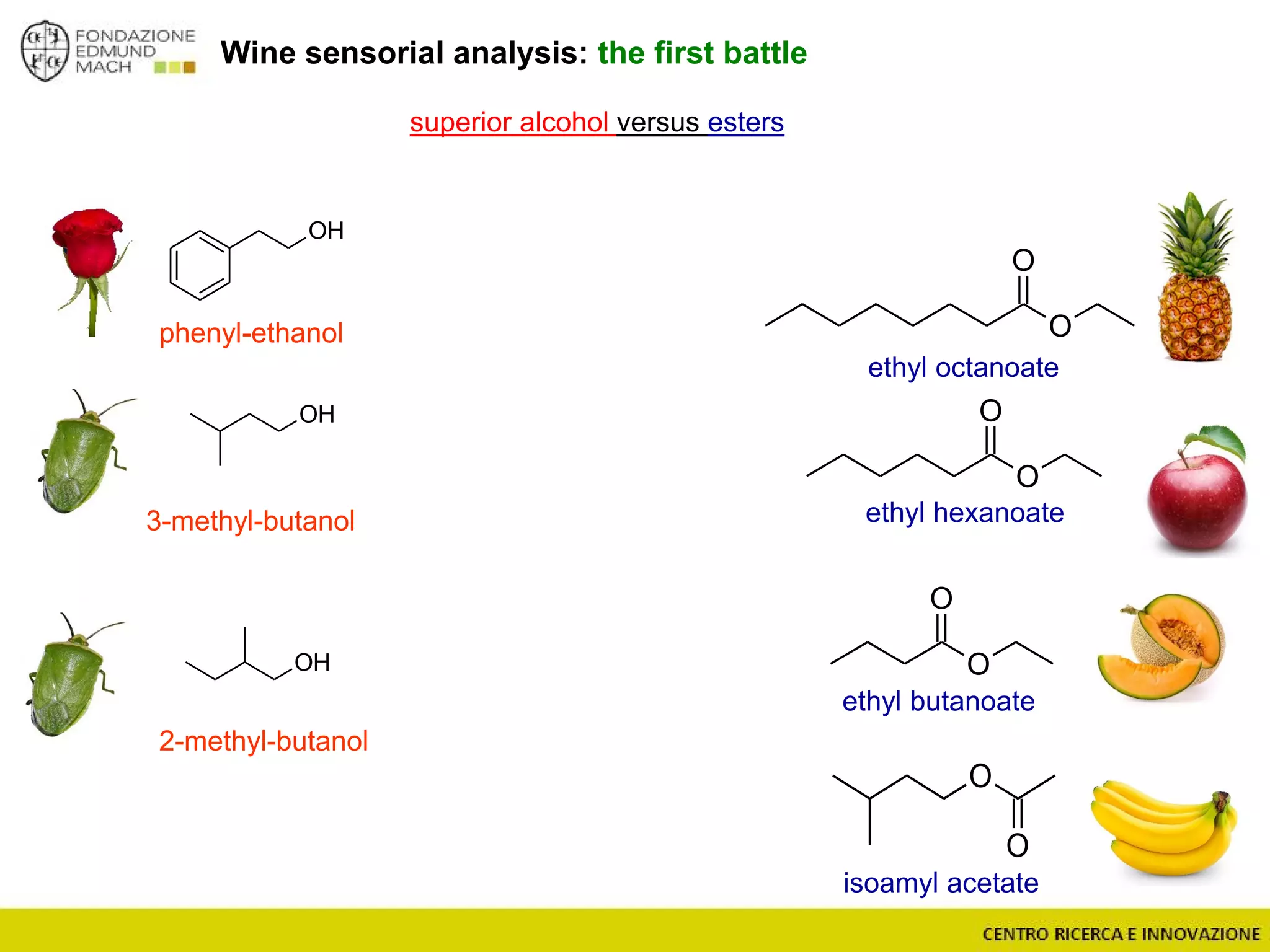 Wine sensorial analysis: the first battle
O
O
O
O
O
O
ethyl butanoate
ethyl hexanoate
ethyl octanoate
O
O
isoamyl acetate
OH
OH
phenyl-ethanol
3-methyl-butanol
2-methyl-butanol
superior alcohol versus esters
OH
 
