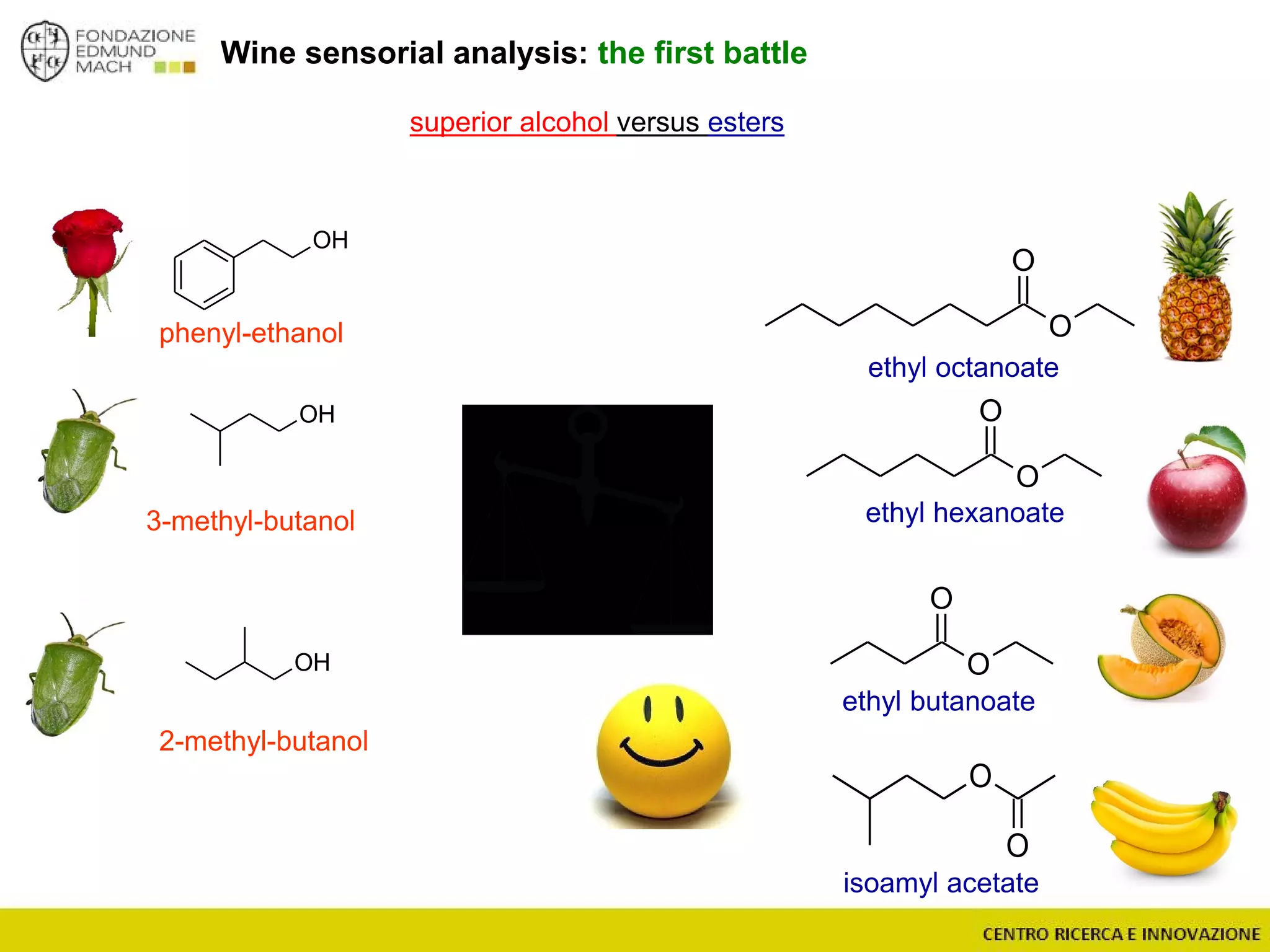 Wine sensorial analysis: the first battle
O
O
O
O
O
O
ethyl butanoate
ethyl hexanoate
ethyl octanoate
O
O
isoamyl acetate
OH
OH
phenyl-ethanol
3-methyl-butanol
2-methyl-butanol
superior alcohol versus esters
OH
 