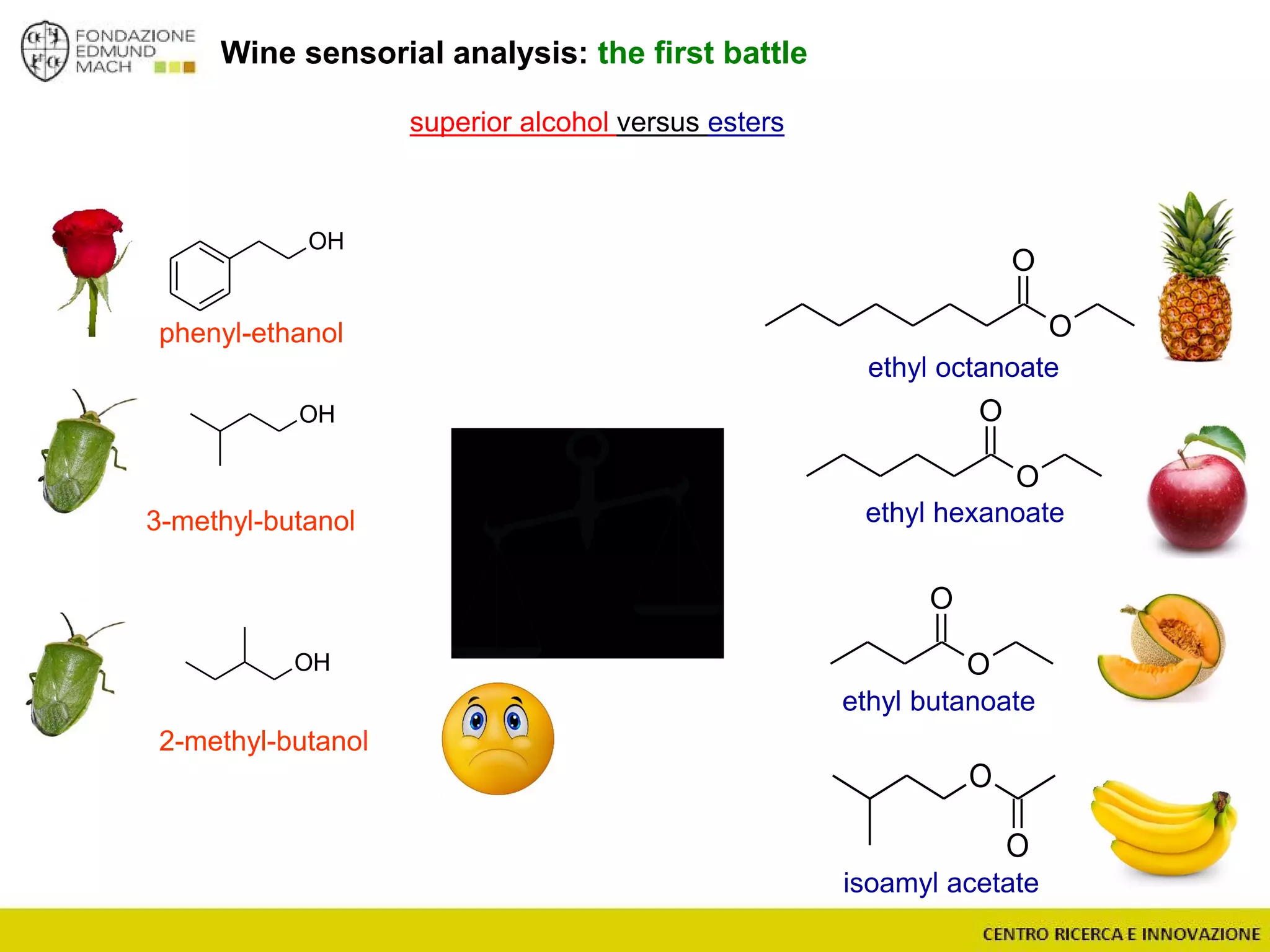 Wine sensorial analysis: the first battle
O
O
O
O
O
O
ethyl butanoate
ethyl hexanoate
ethyl octanoate
O
O
isoamyl acetate
OH
OH
phenyl-ethanol
3-methyl-butanol
2-methyl-butanol
superior alcohol versus esters
OH
 
