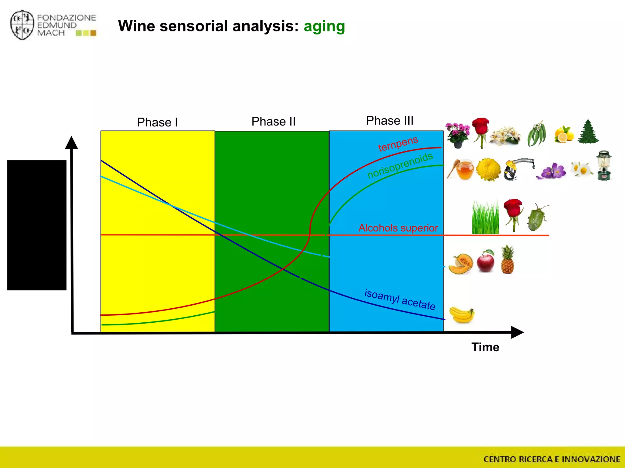 Wine sensorial analysis: aging
Time
ethyl esters
Alcohols superior
Phase I Phase II Phase III
 