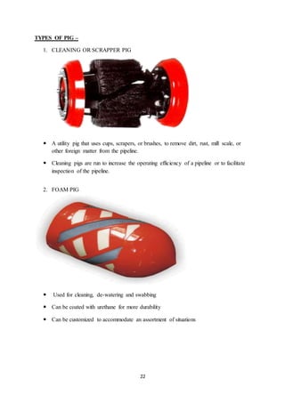 Utility Pigs PAPER PRESENTATION | DOCX