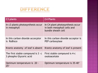 C3 and c4 plants ,characteristic ,cycles and significance | PPTX | Science